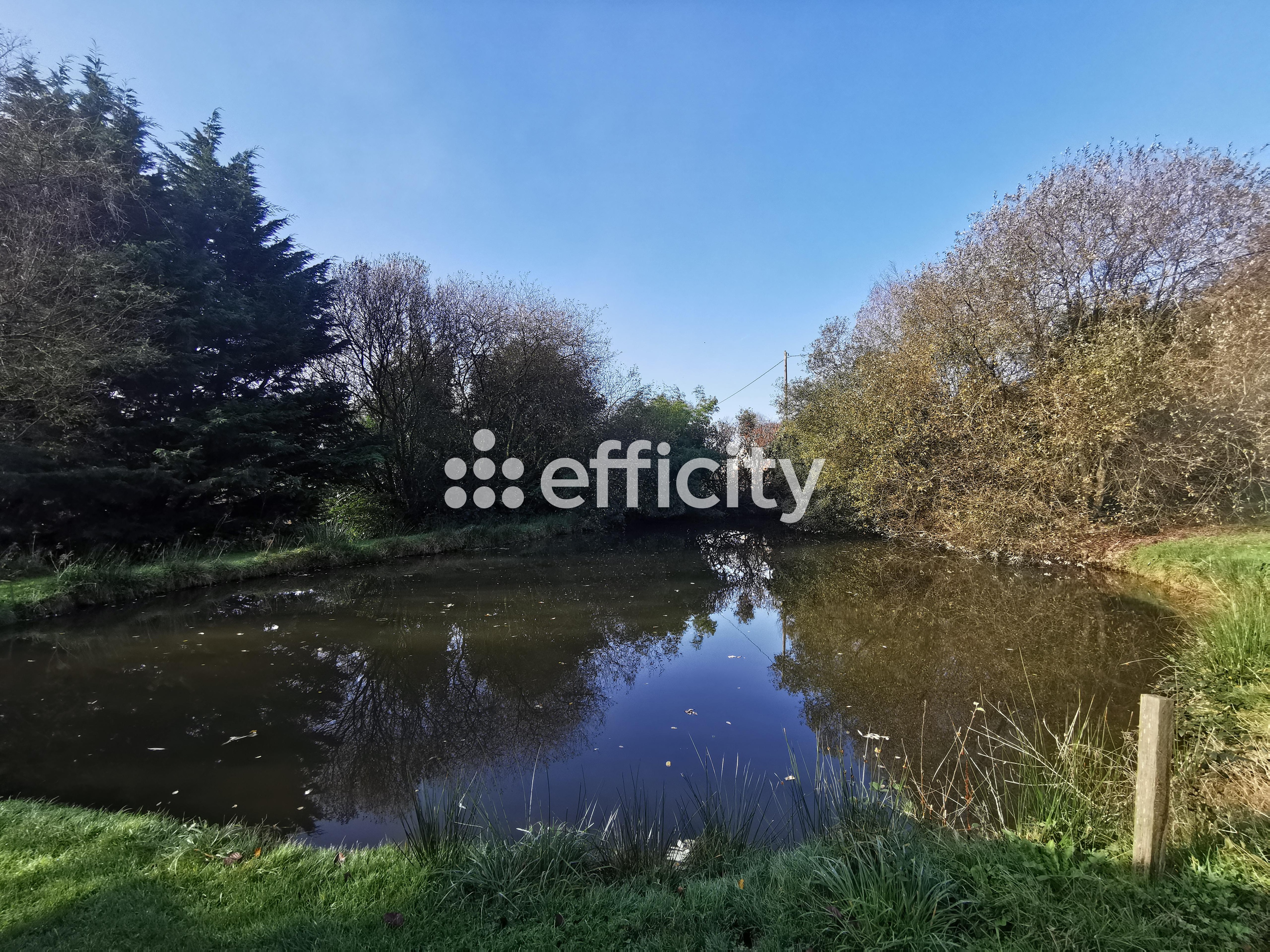 Achat immobilier Maison 7 pièces  170m2 à Saint-Michel-de-Montjoie (50670) - Photo n°19