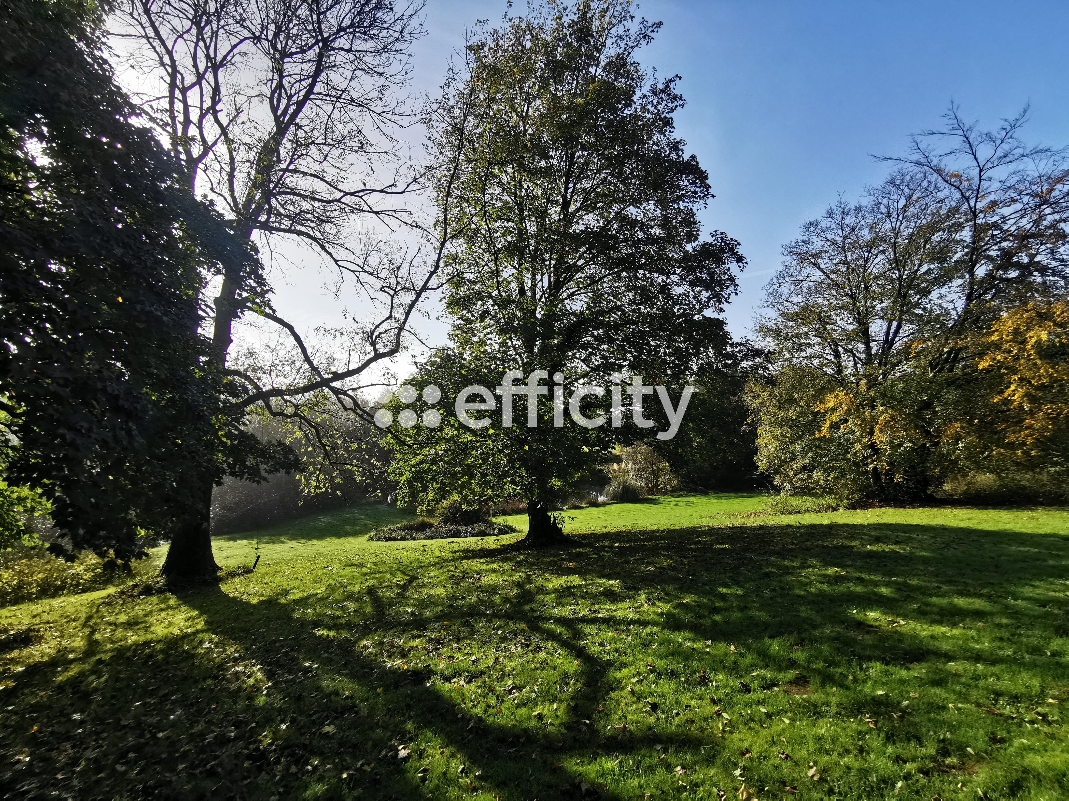 Achat immobilier Maison 7 pièces  170m2 à Saint-Michel-de-Montjoie (50670) - Photo n°21