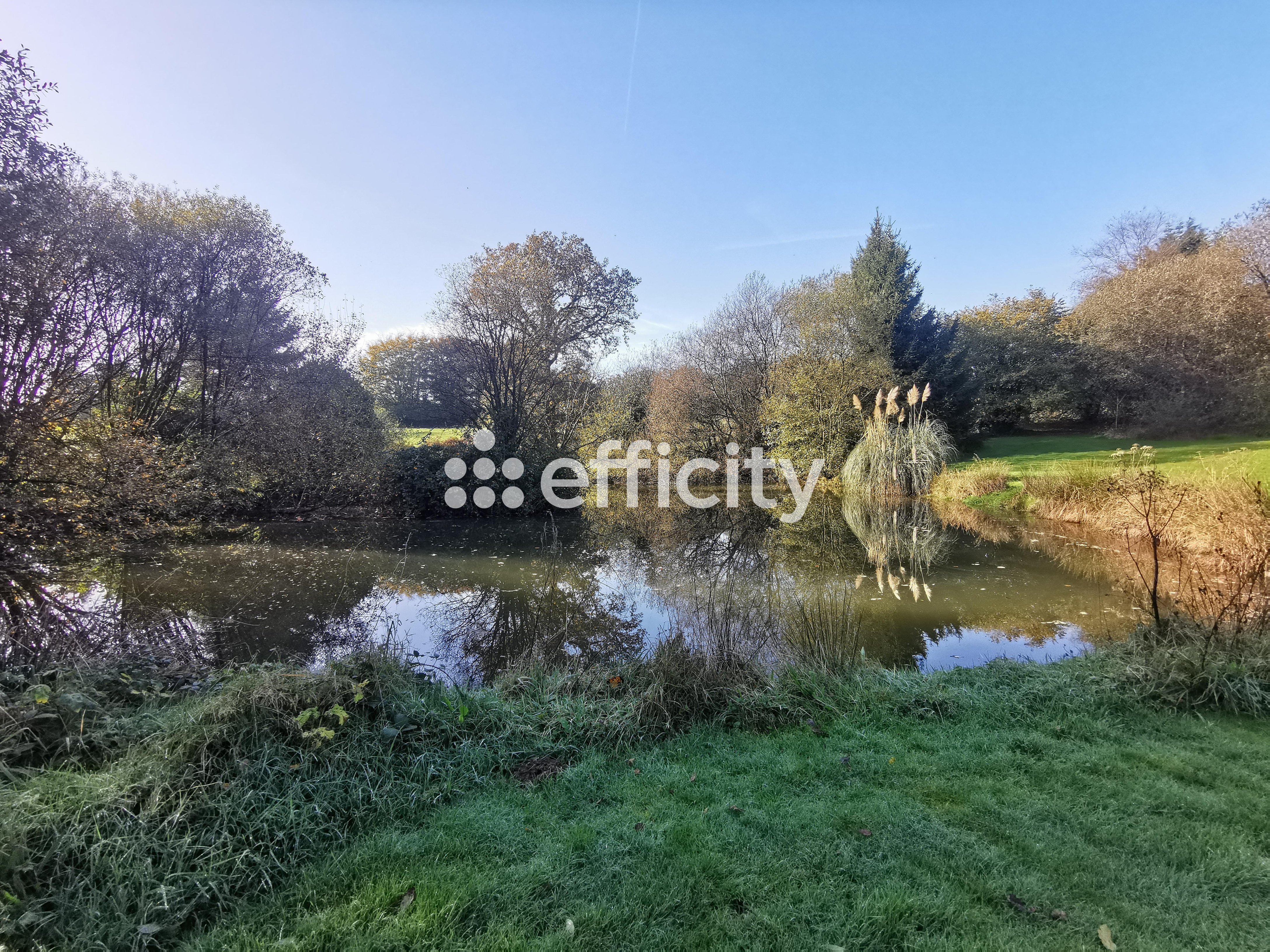 Achat immobilier Maison 7 pièces  170m2 à Saint-Michel-de-Montjoie (50670) - Photo n°20