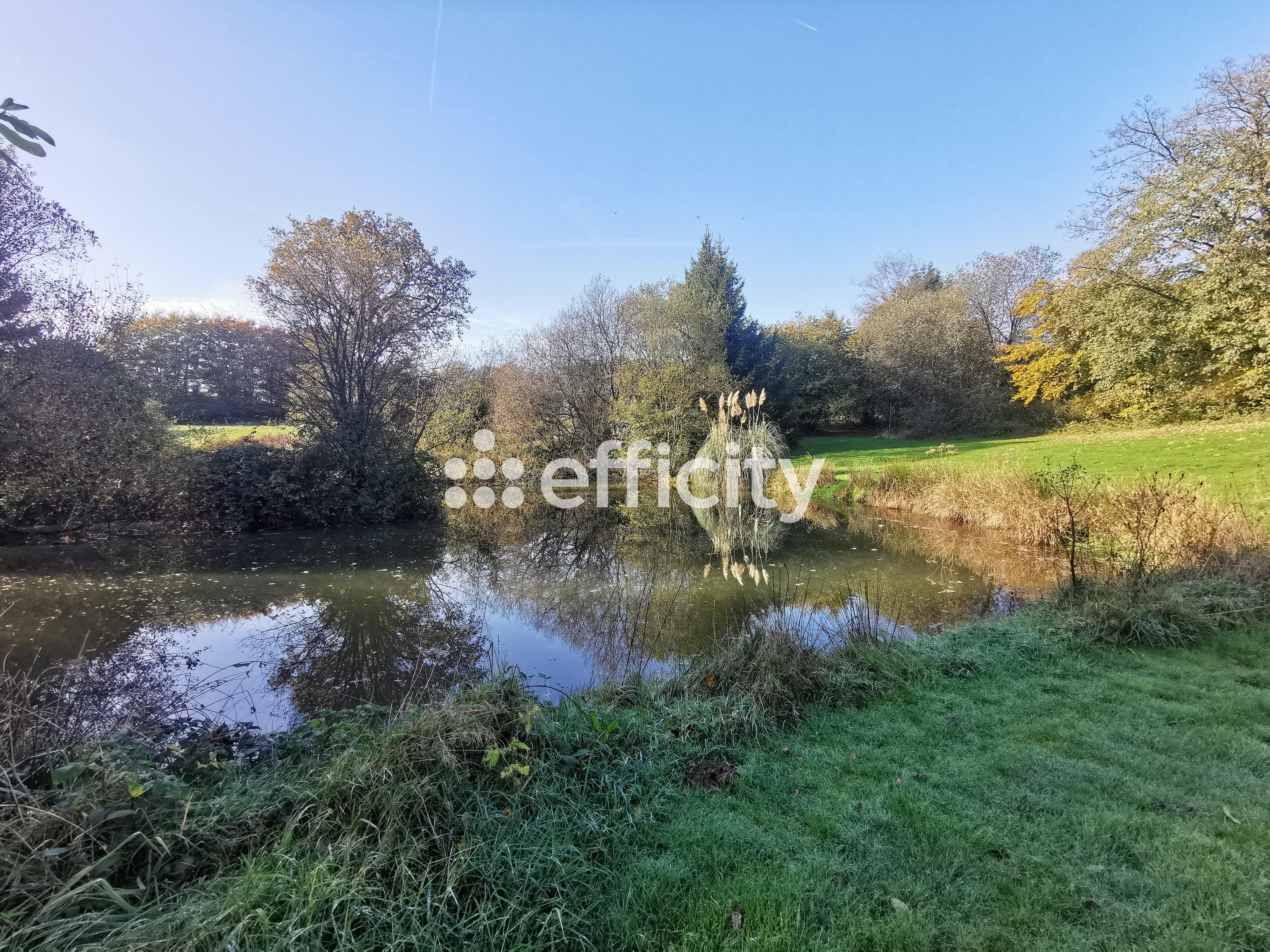 Achat immobilier Maison 7 pièces  170m2 à Saint-Michel-de-Montjoie (50670) - Photo n°23