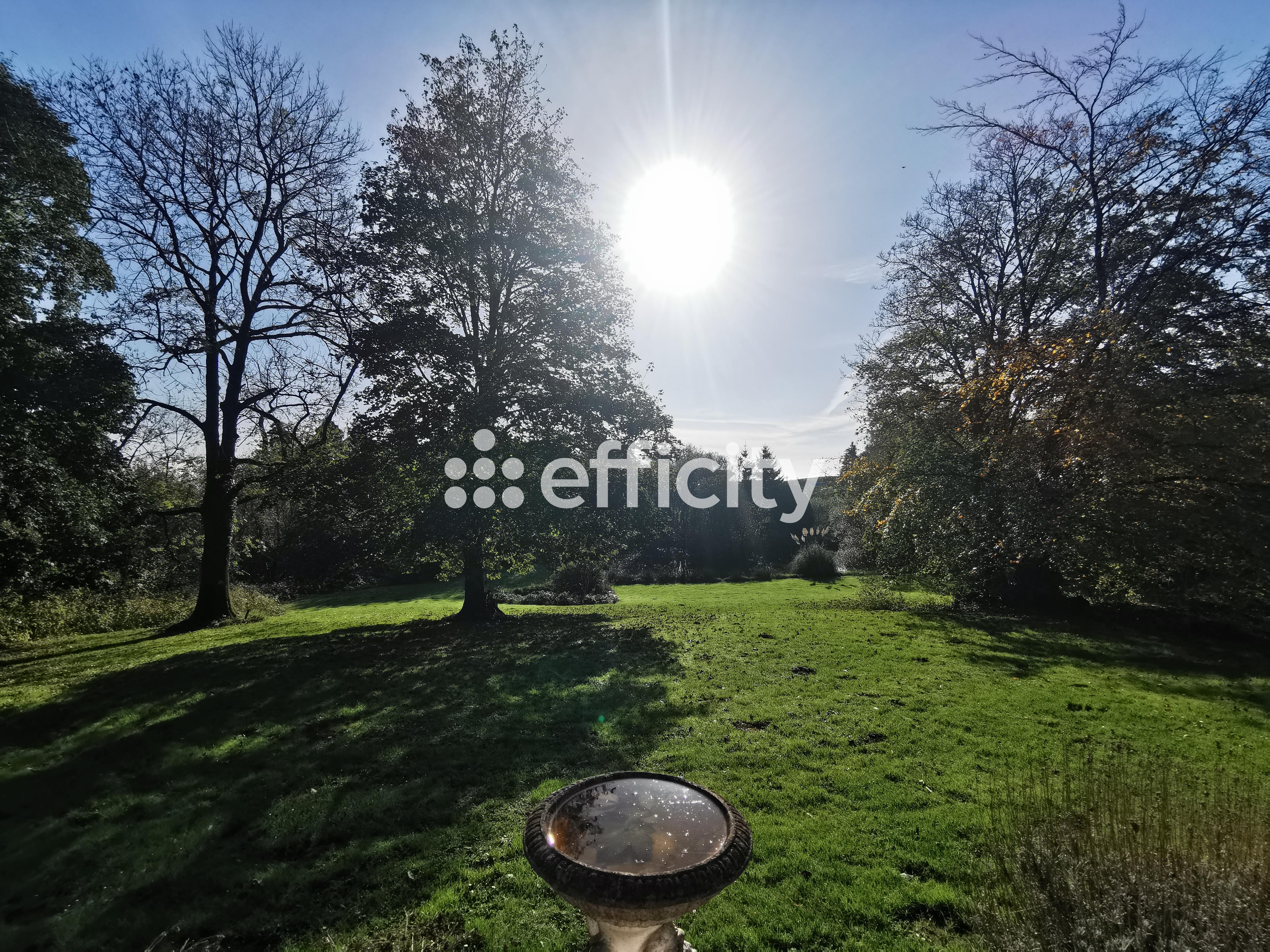 Achat immobilier Maison 7 pièces  170m2 à Saint-Michel-de-Montjoie (50670) - Photo n°25