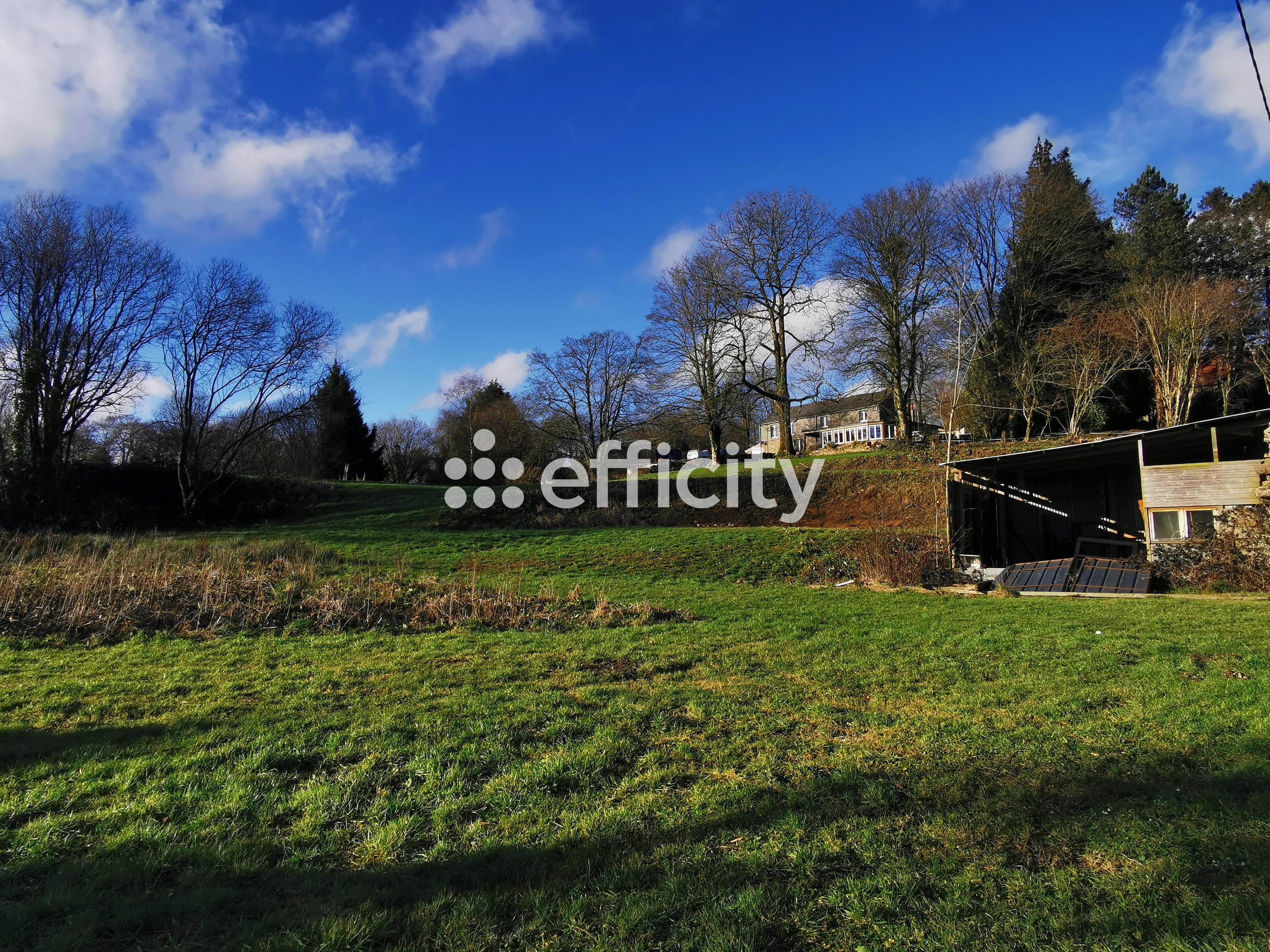 Achat immobilier Maison 7 pièces  170m2 à Saint-Michel-de-Montjoie (50670) - Photo n°37