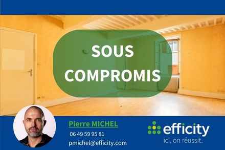 appartement 2 pièces - 50m2 à Saint-Julien-sur-Bibost (69690)
