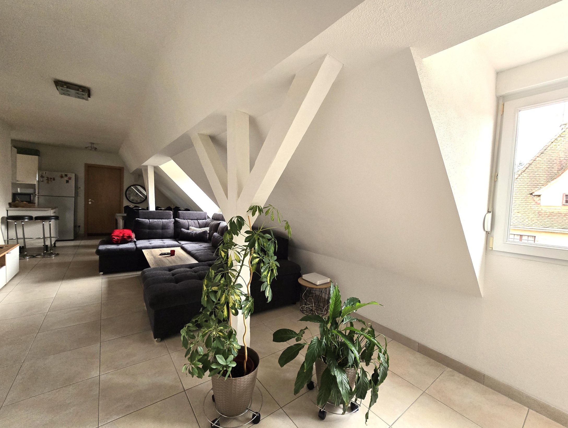 appartement 2 pièces - 50m2 à Barr (67140)