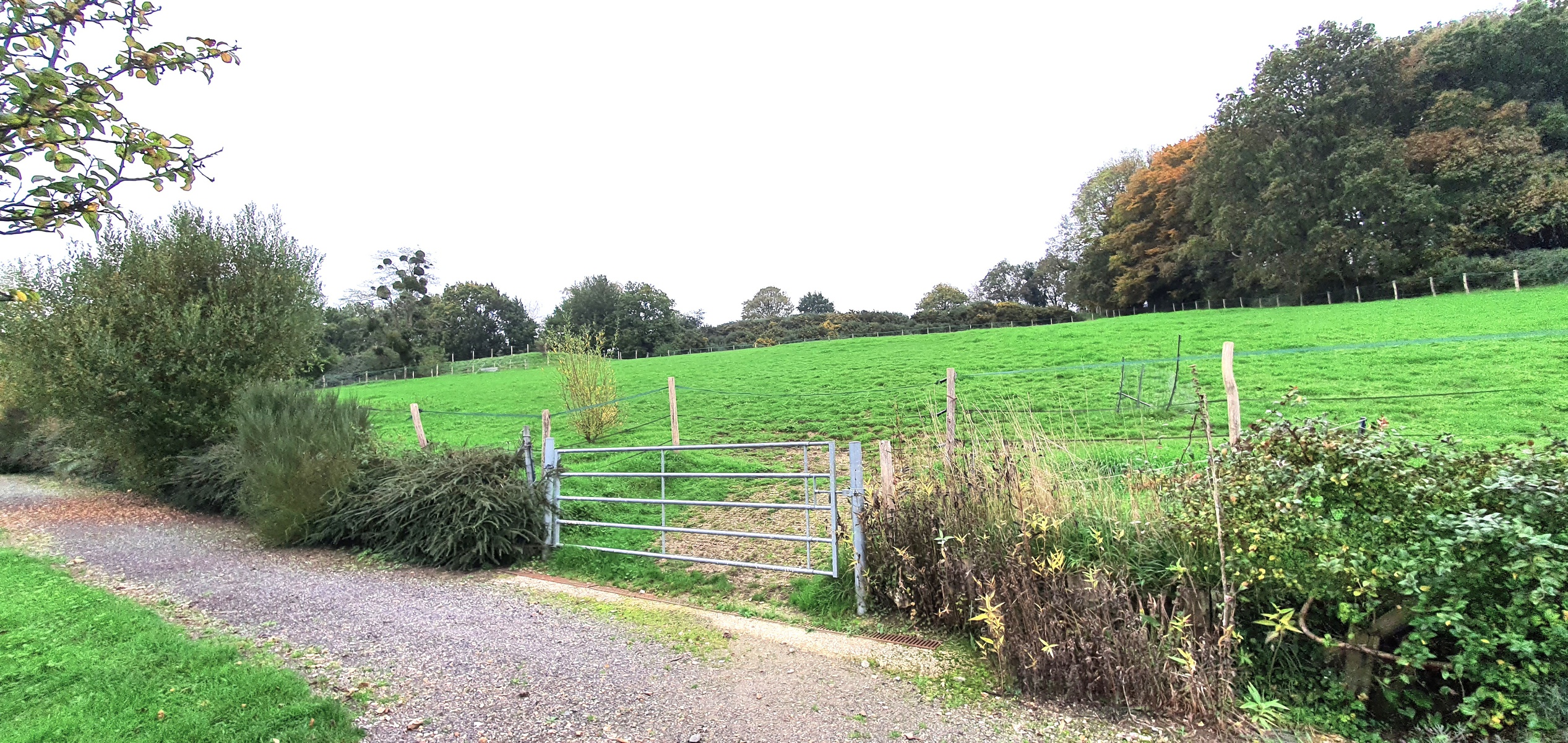 maison 6 pièces - 170m2 à Montivilliers (76290)