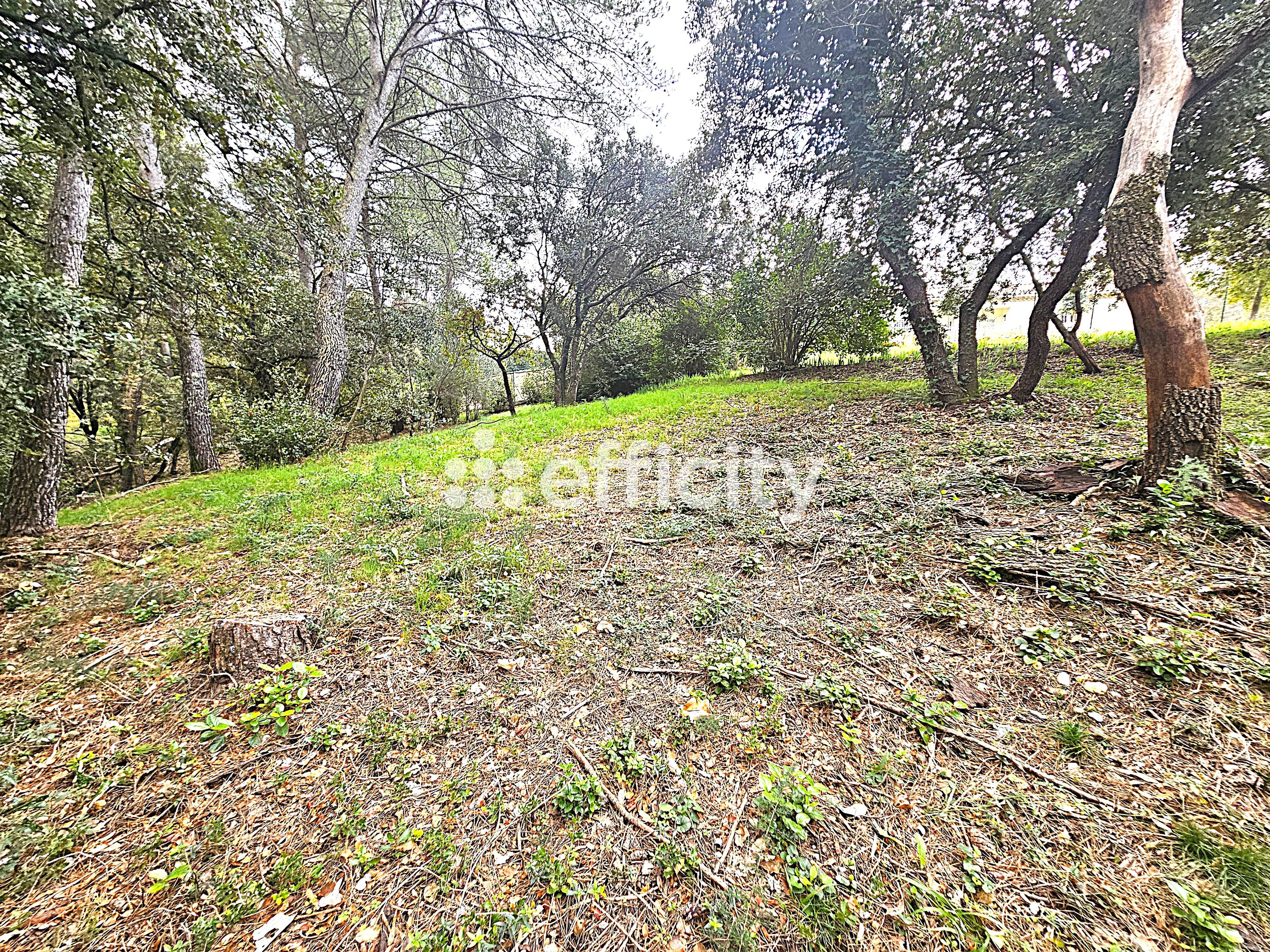 Photo du bien