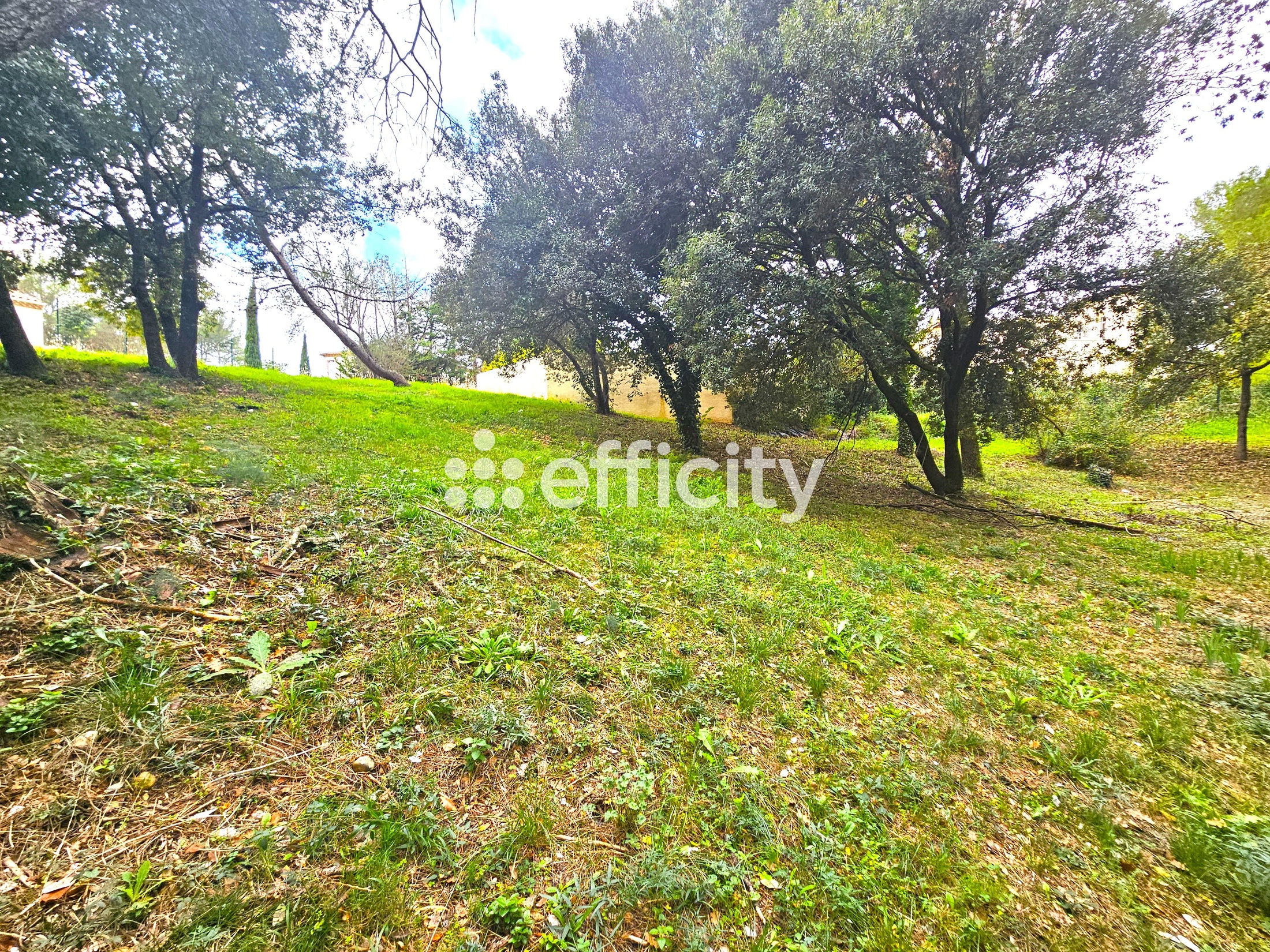 terrain  - 2008m2 à Saint-Clément-de-Rivière (34980)