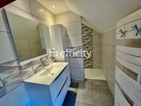 Achat immobilier Maison 7 pièces  130m2 à Jarnosse (42460) - Photo n°11