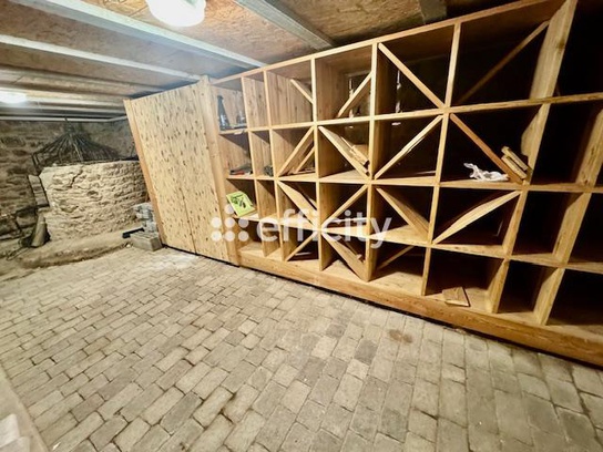 Achat immobilier Maison 7 pièces  130m2 à Jarnosse (42460) - Photo n°13