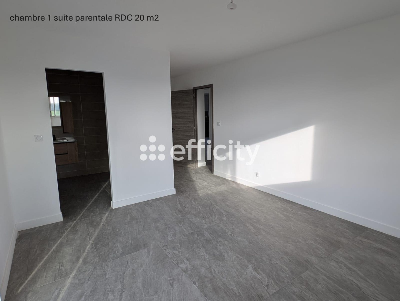 Achat immobilier Maison 6 pièces  165m2 à Norges-la-Ville (21490) - Photo n°8