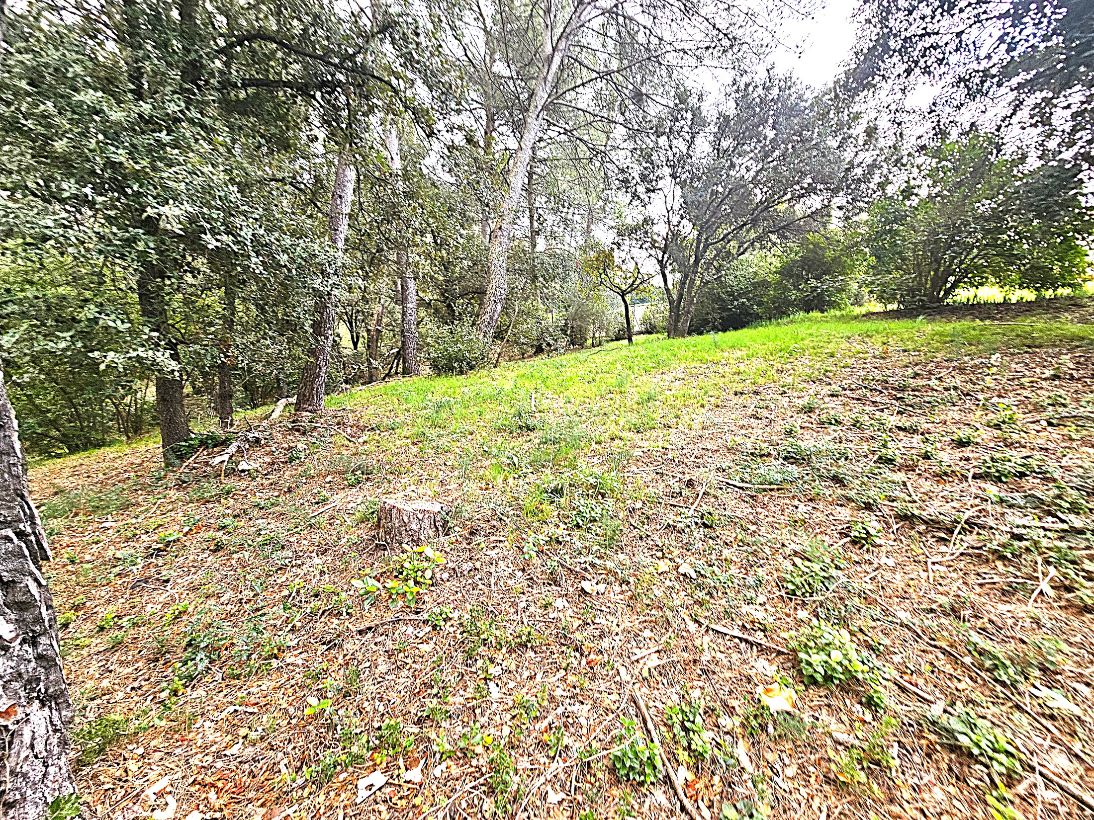 terrain  - 4737m2 à Saint-Clément-de-Rivière (34980)