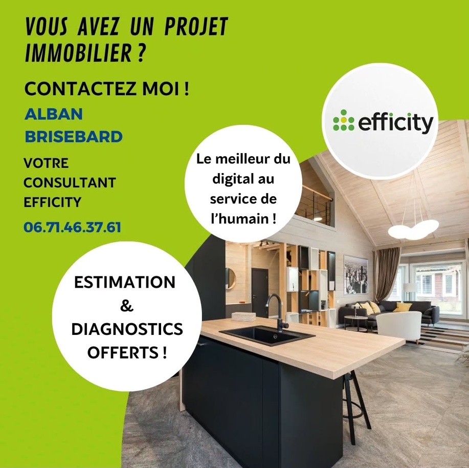 Achat immobilier Maison 9 pièces  205m2 à Halluin (59250) - Photo n°7