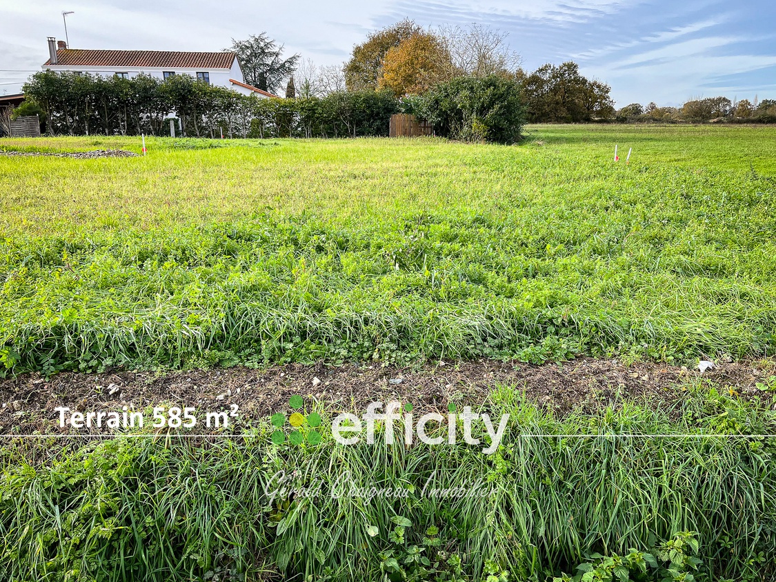 terrain  - 585m2 à Saint-Philbert-de-Grand-Lieu (44310)