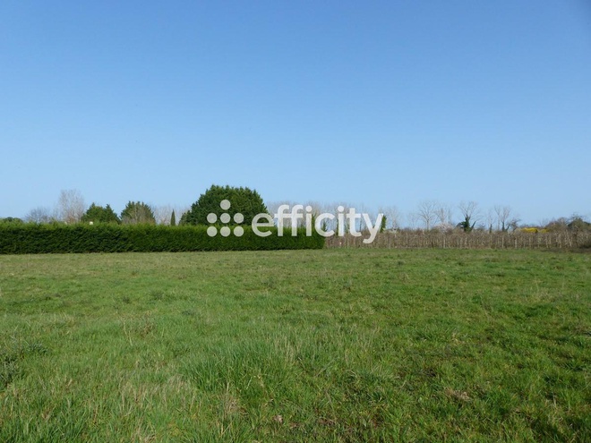terrain  - 6910,0m2 à Gardonne (24680)