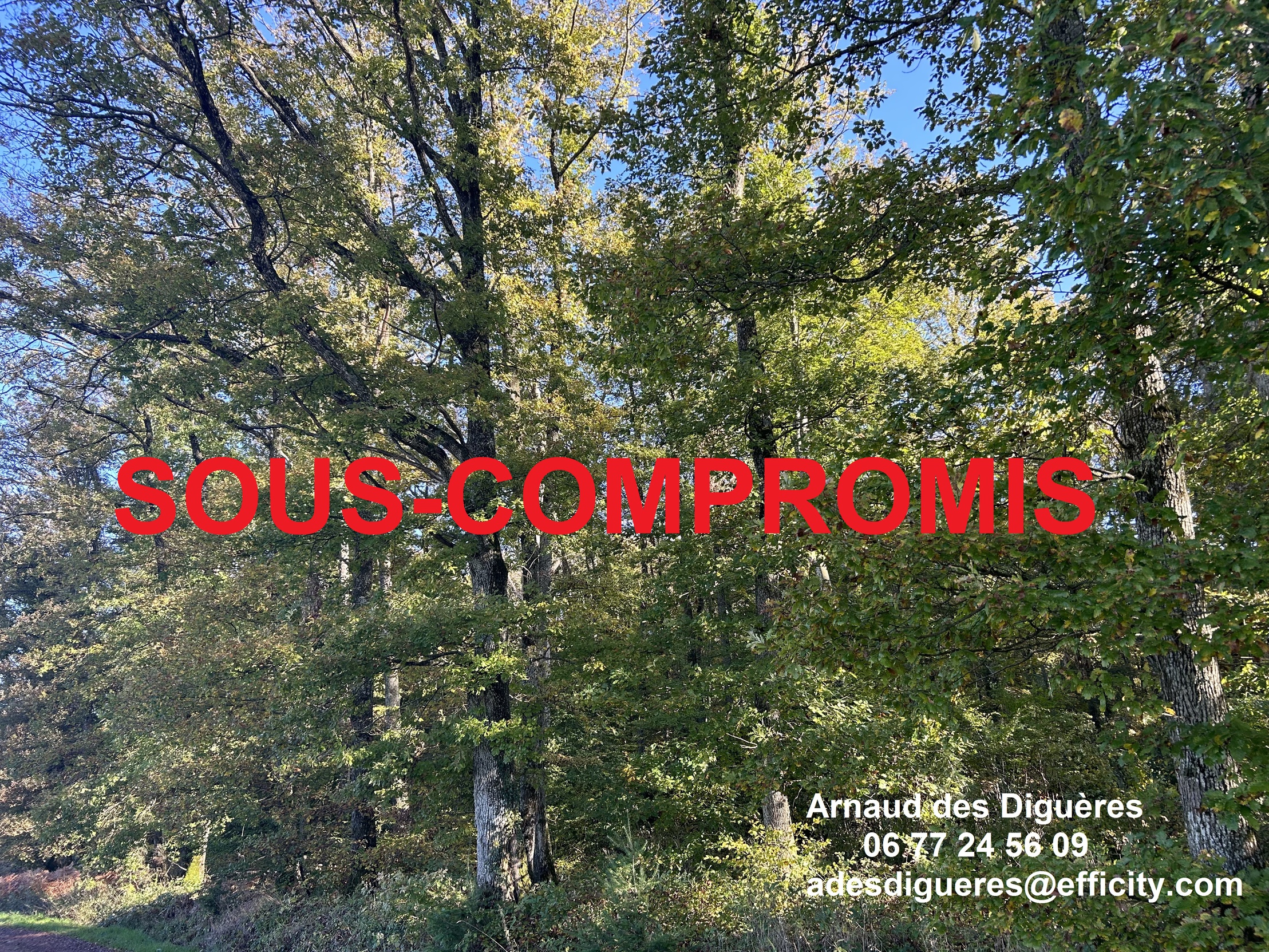 terrain  - 169513m2 à Lalizolle (03450)