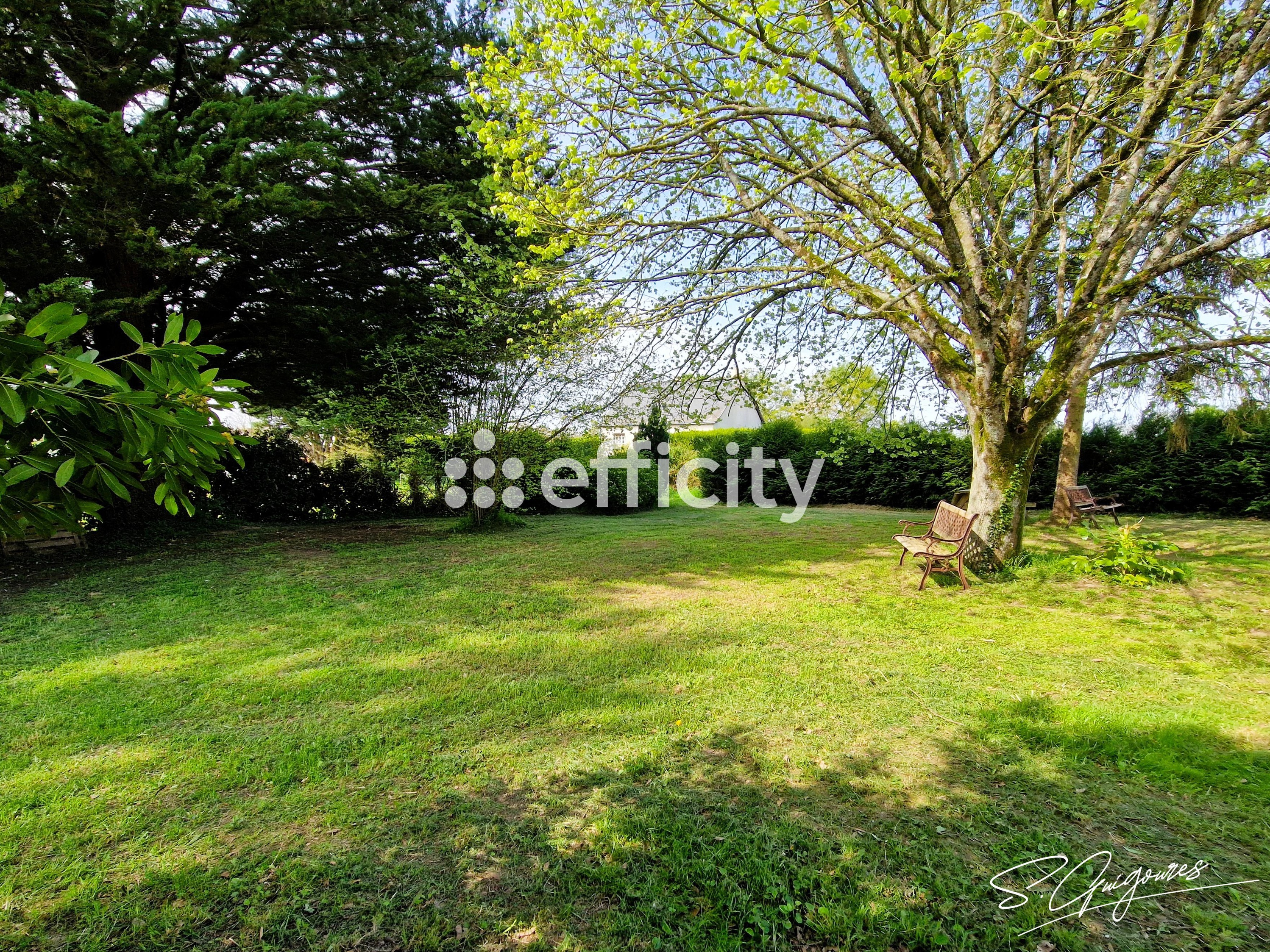 Achat immobilier Maison 7 pièces  273m2 à Arbrissel (35130) - Photo n°19