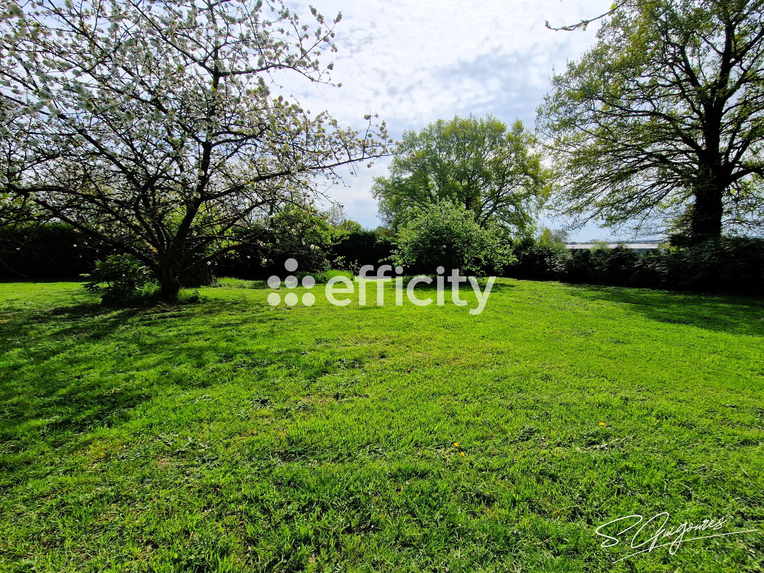 Achat immobilier Maison 7 pièces  273m2 à Arbrissel (35130) - Photo n°18
