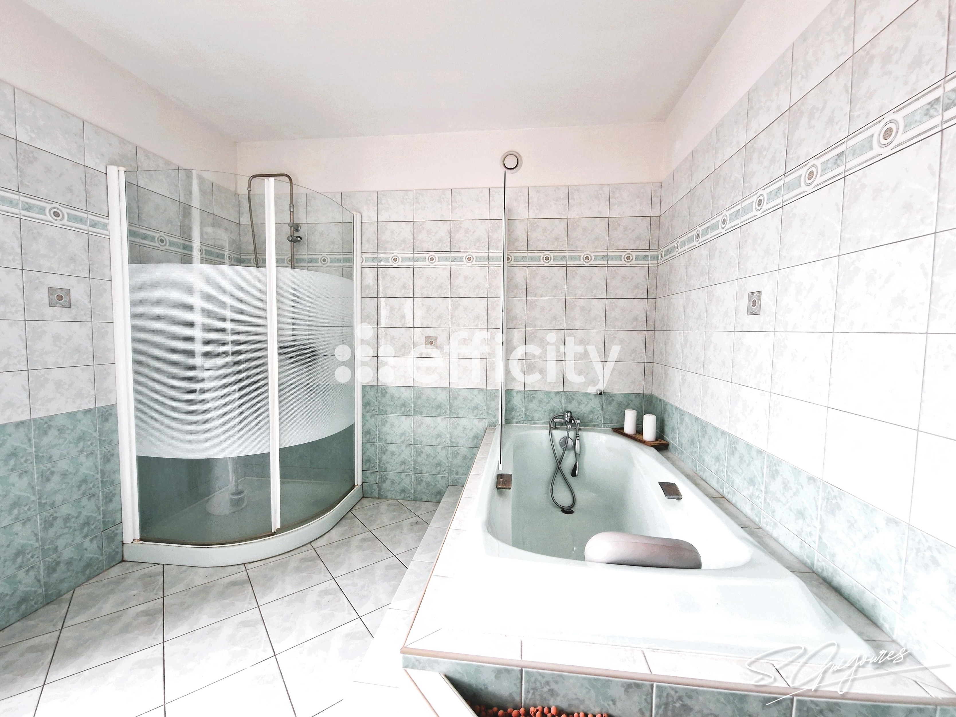 Achat immobilier Maison 7 pièces  273m2 à Arbrissel (35130) - Photo n°12