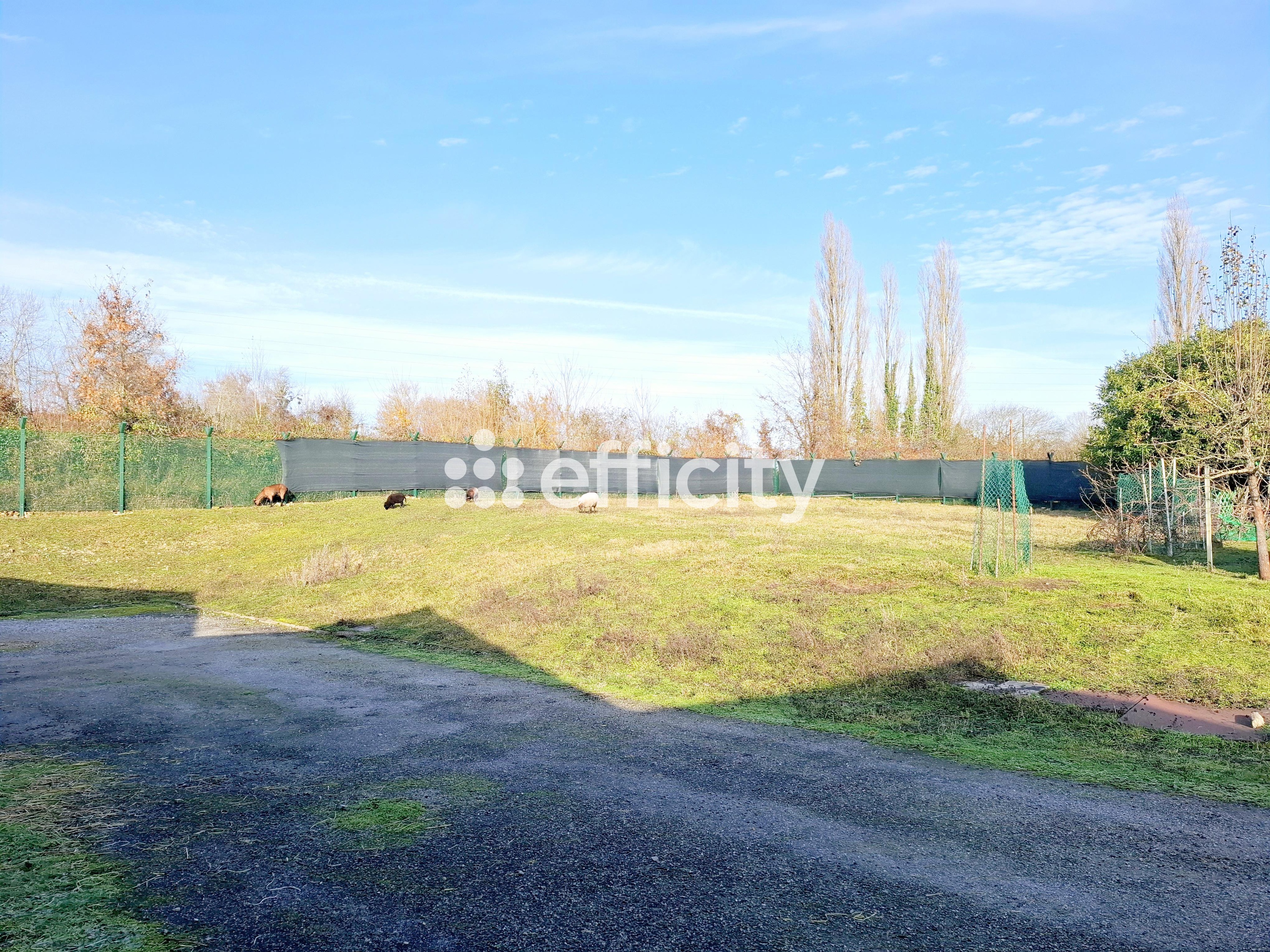 Achat immobilier Local commercial   817m2 à Nogent-le-Rotrou (28400) - Photo n°5