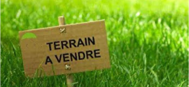 terrain  - 726m2 à Saint-Dolay (56130)