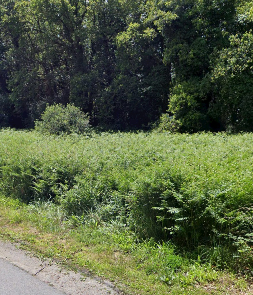 Achat immobilier Terrain   880m2 à Besne (44160) - Photo n°1