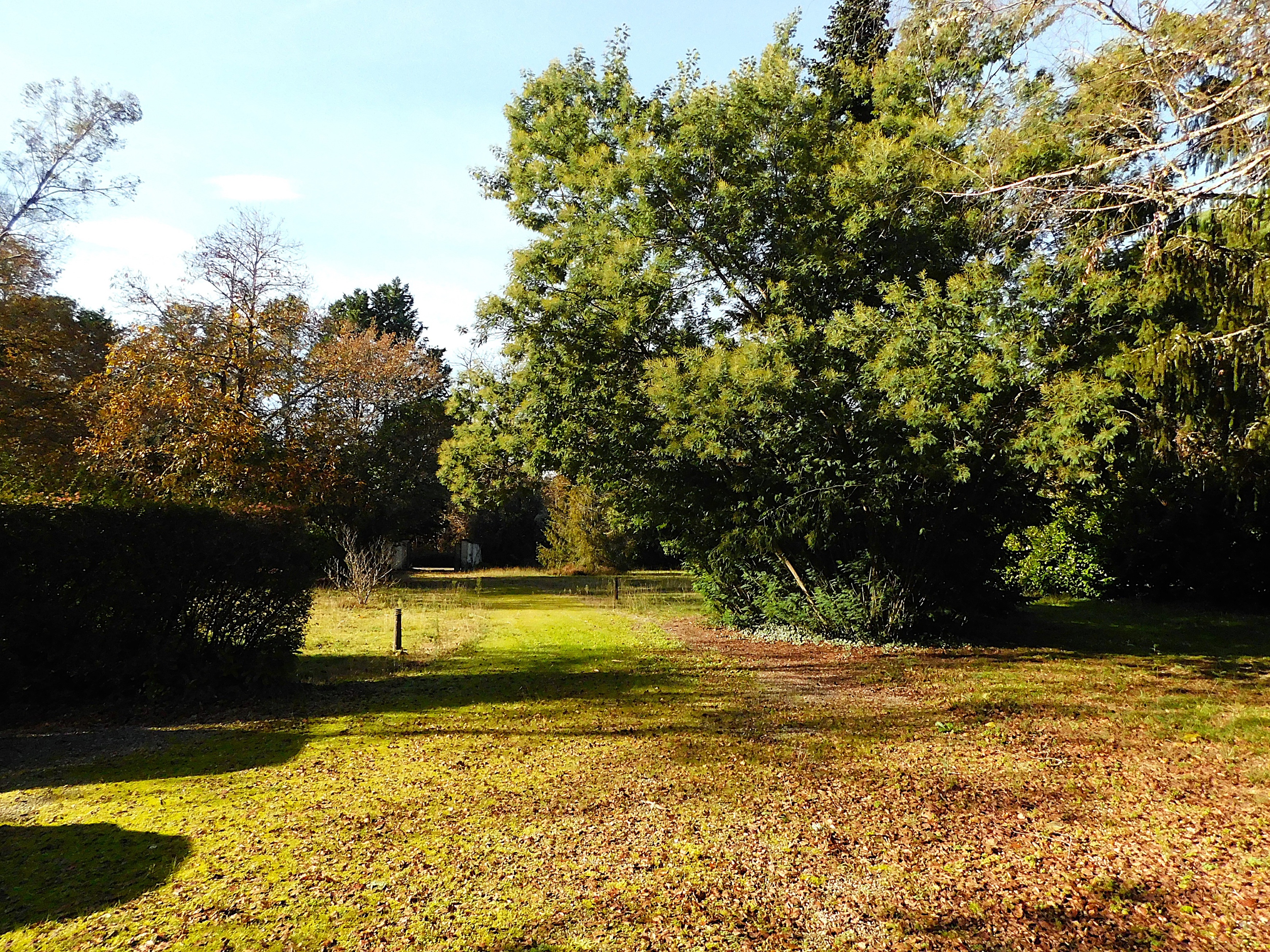 Achat immobilier Maison 7 pièces  223m2 à Mazerolles (40090) - Photo n°17