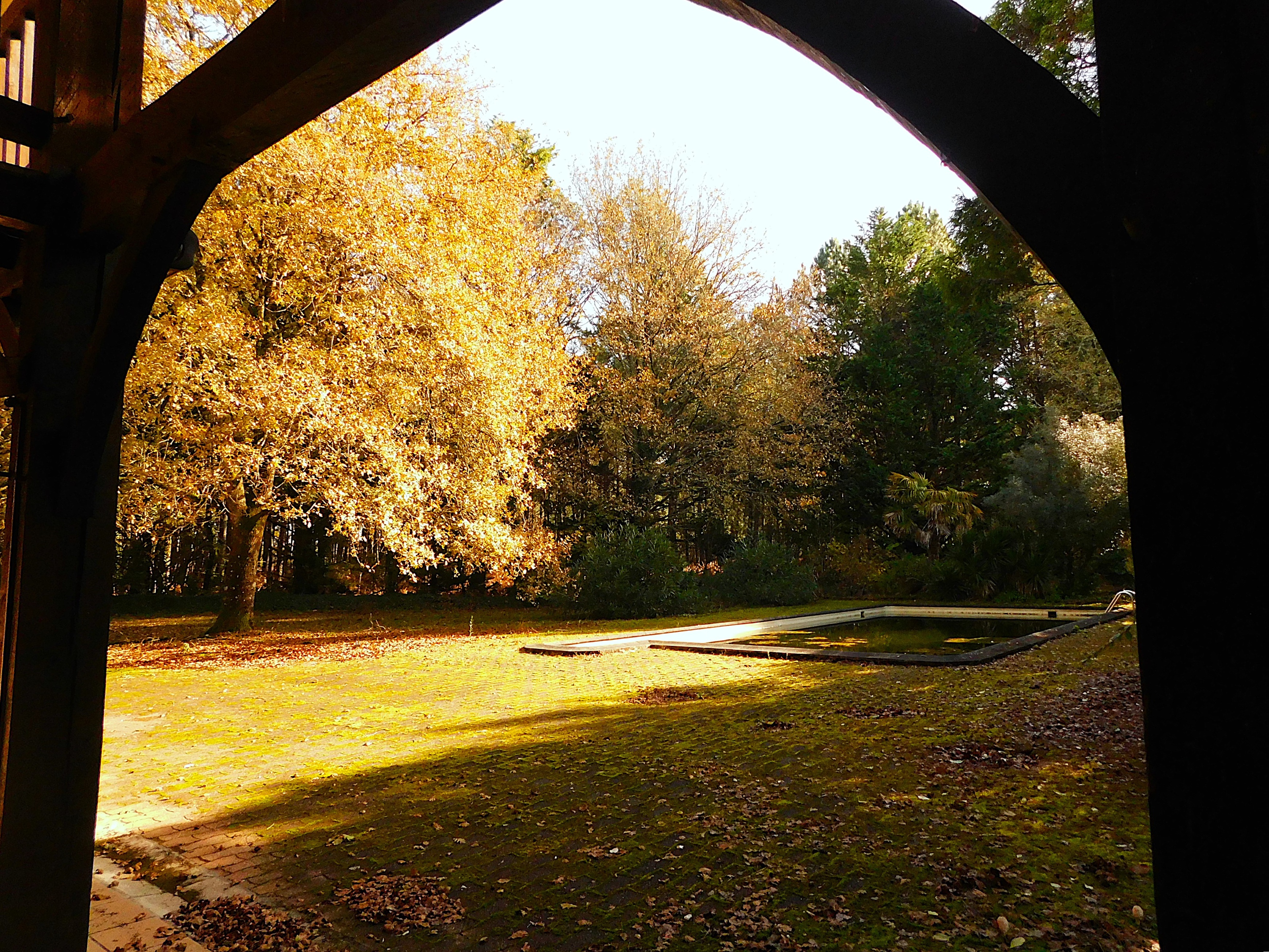 Achat immobilier Maison 7 pièces  223m2 à Mazerolles (40090) - Photo n°4