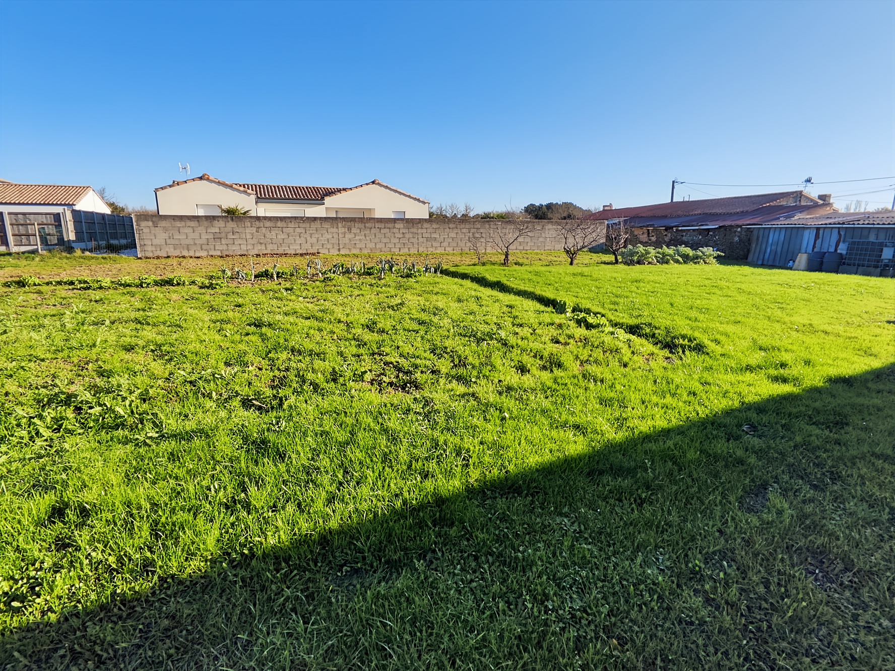 terrain  - 801m2 à Bretignolles-sur-Mer (85470)