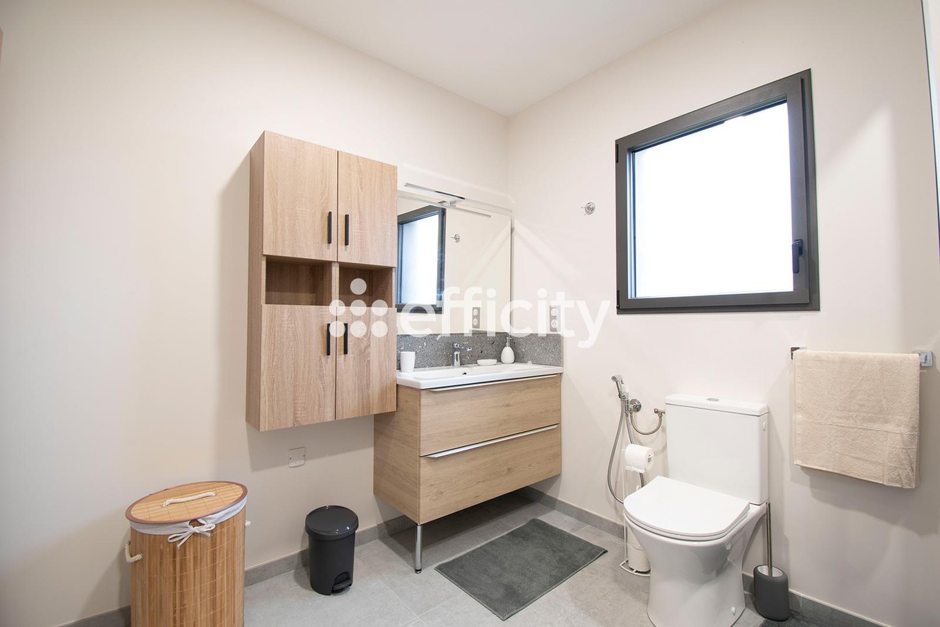 Achat immobilier Maison 6 pièces  138m2 à Crêches-sur-Saône (71680) - Photo n°14