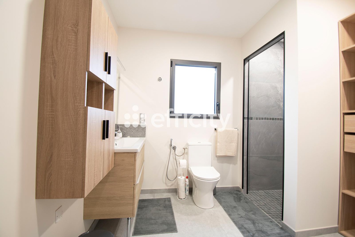 Achat immobilier Maison 6 pièces  138m2 à Crêches-sur-Saône (71680) - Photo n°13