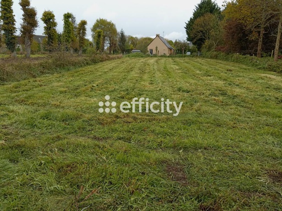 terrain  - 866,0m2 à Vildé-Guingalan (22980)