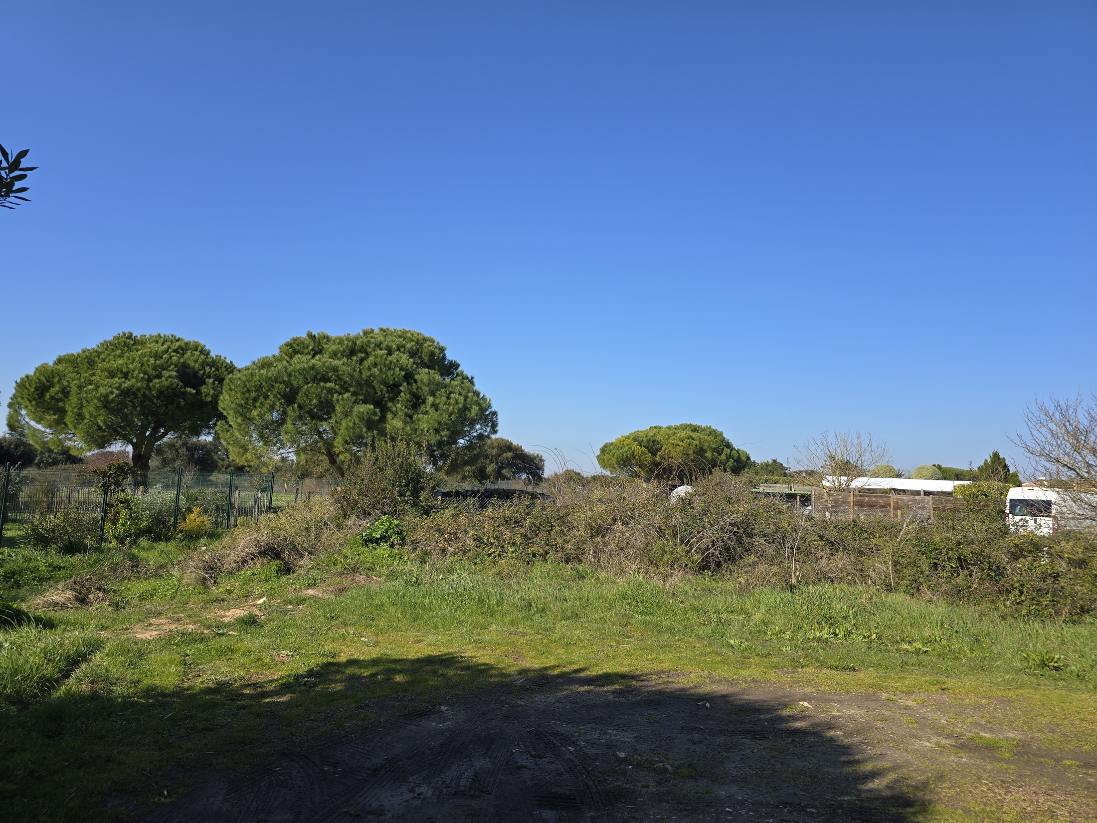 terrain  - 1394m2 à Rivedoux-Plage (17940)
