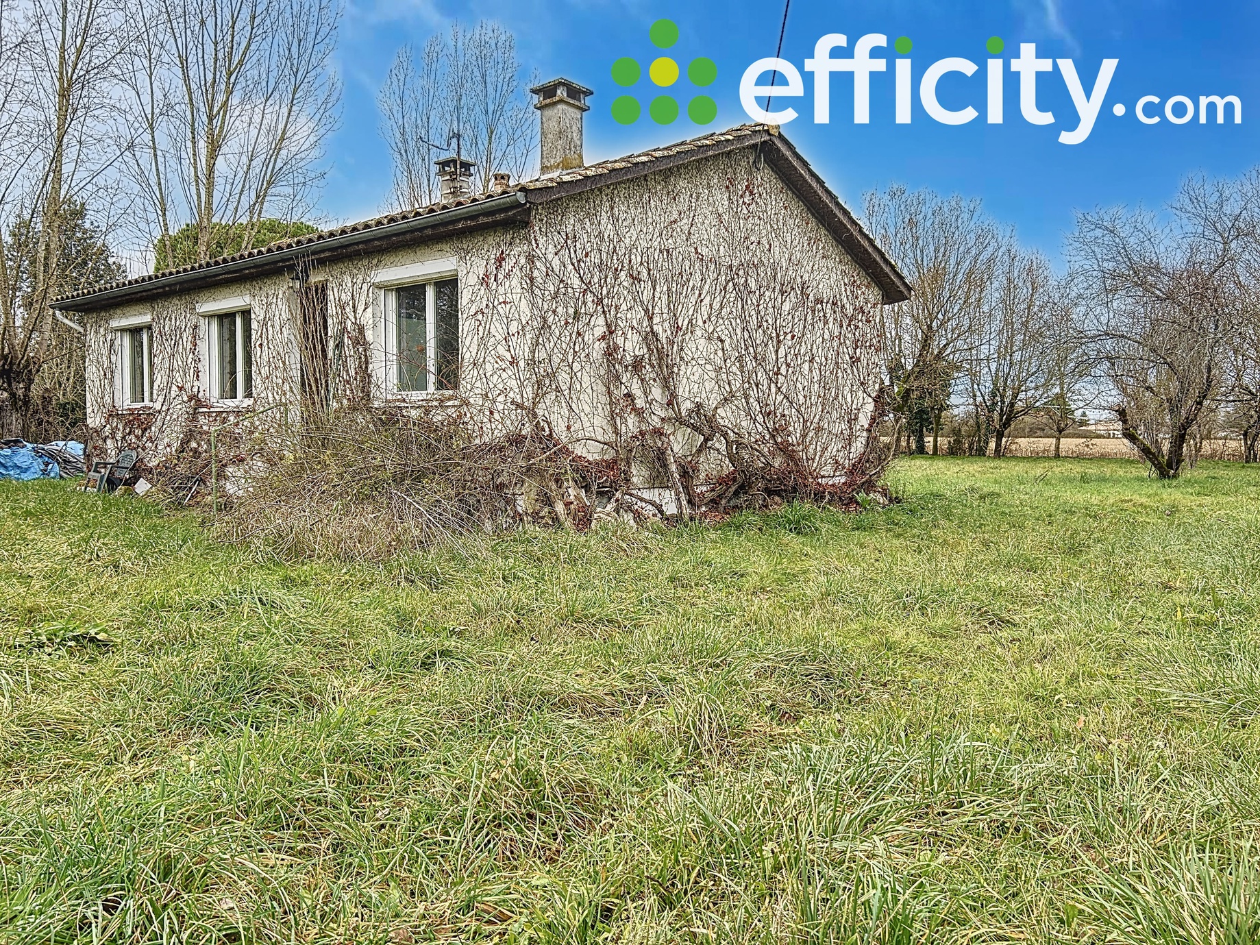 maison 4 pièces - 68m2 à Nègrepelisse (82800)