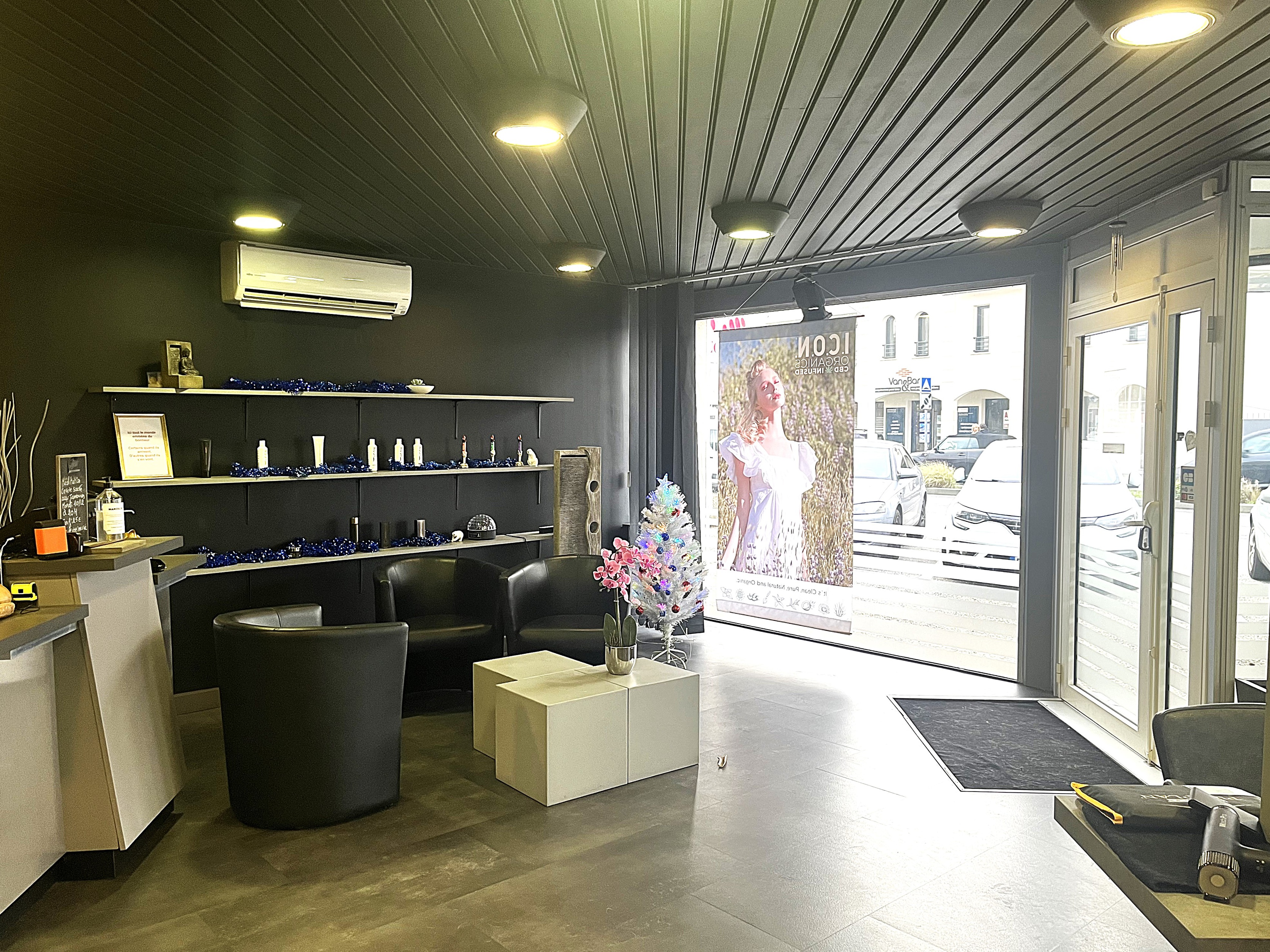 Achat immobilier Local commercial 2 pièces  161m2 à Gujan-Mestras (33470) - Photo n°4