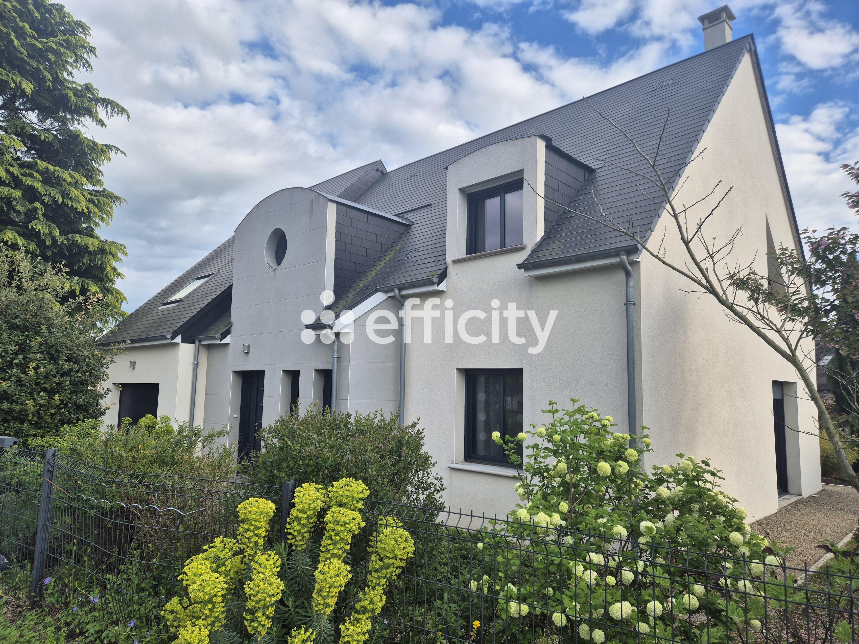 Achat immobilier Maison 7 pièces  175m2 à Vineuil (41350) - Photo n°18
