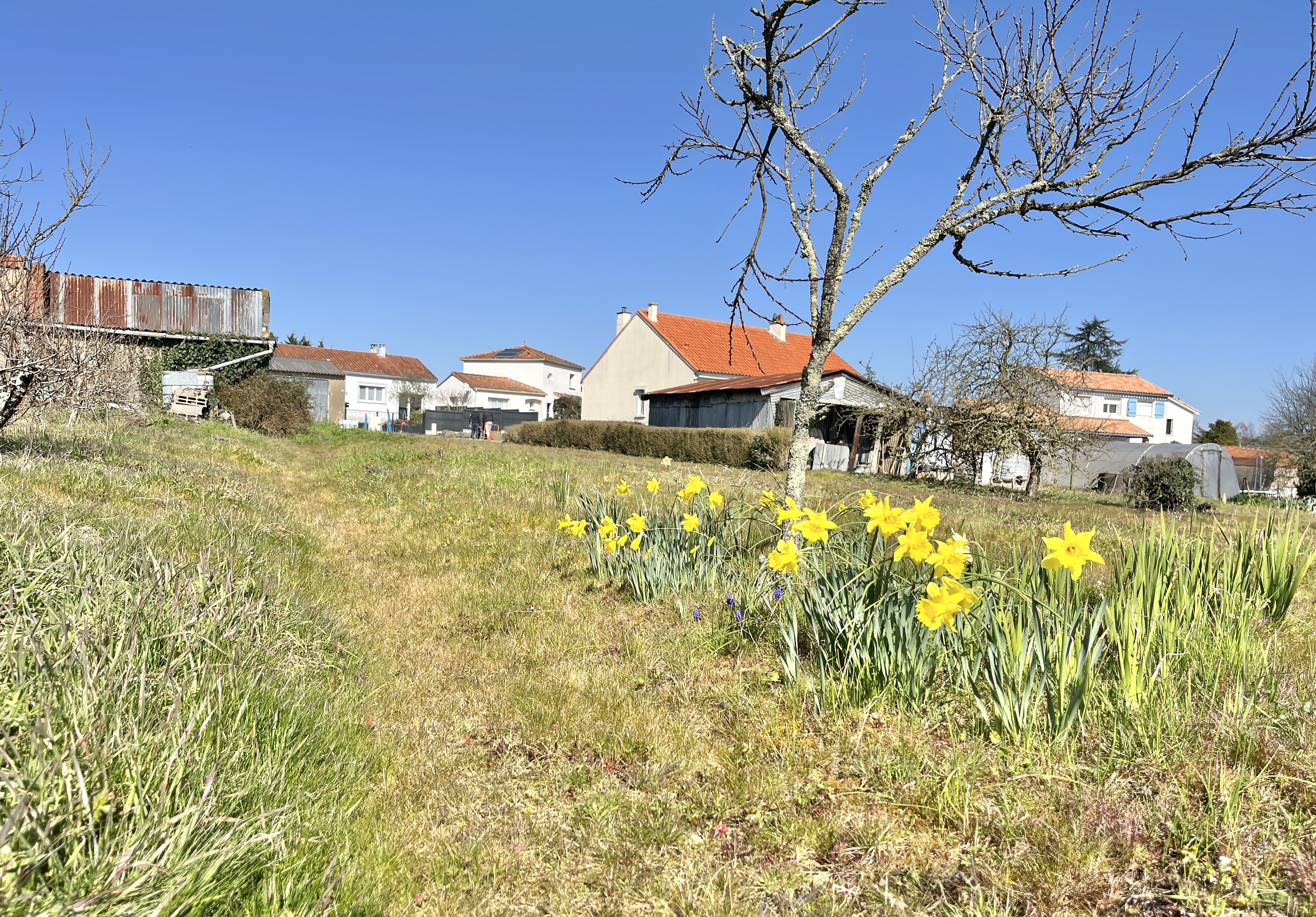 Achat immobilier Terrain   604m2 à Pont-Saint-Martin (44860) - Photo n°1