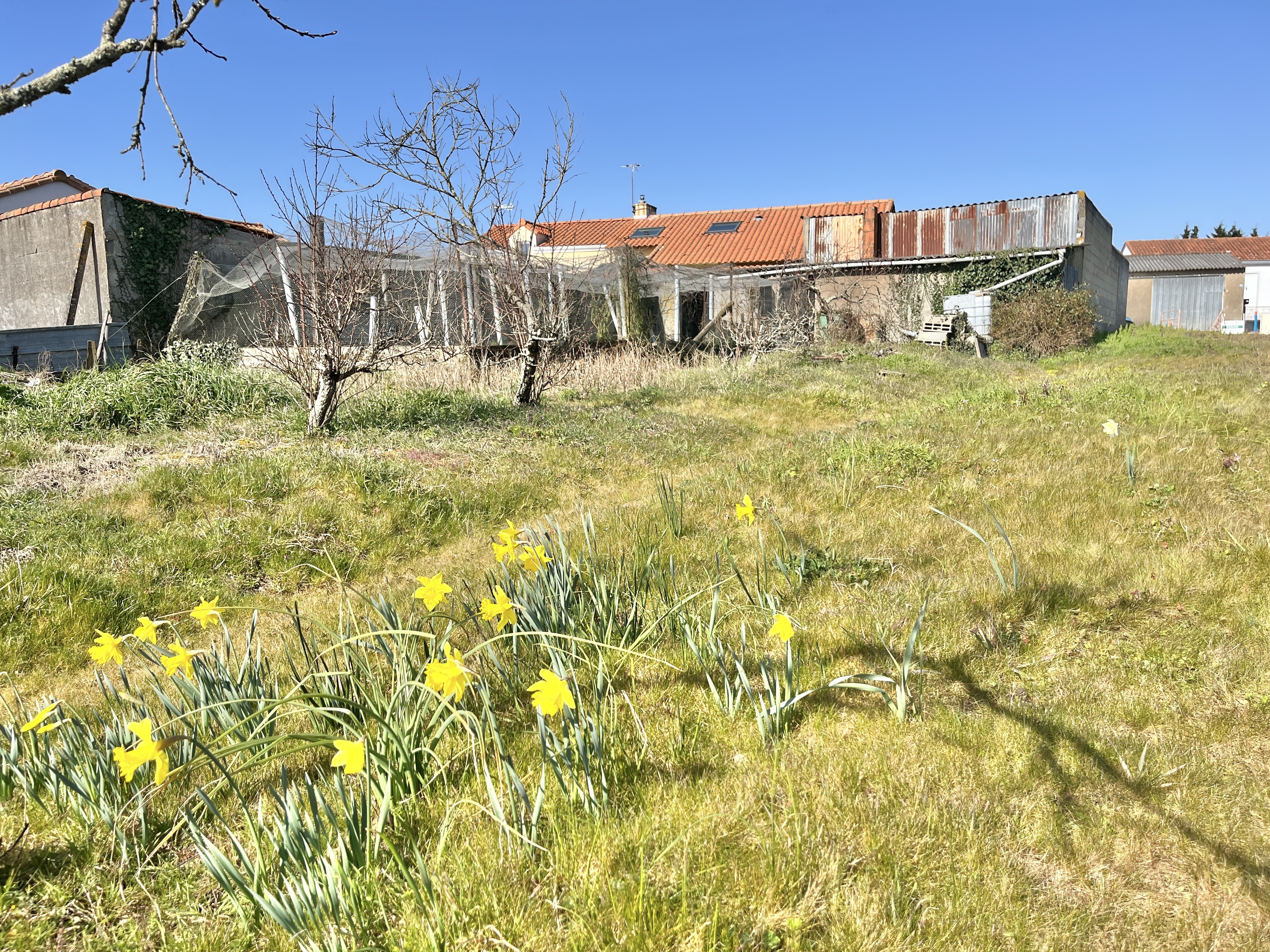 Achat immobilier Terrain   604m2 à Pont-Saint-Martin (44860) - Photo n°4