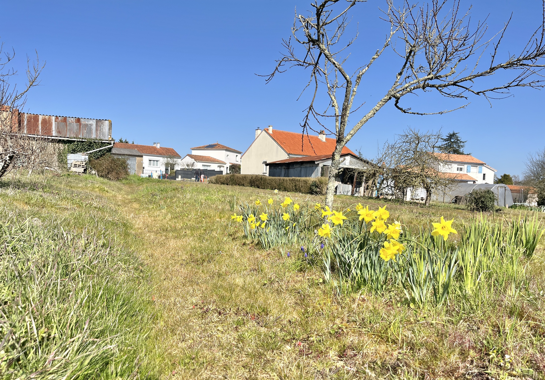 terrain  - 604m2 à Pont-Saint-Martin (44860)