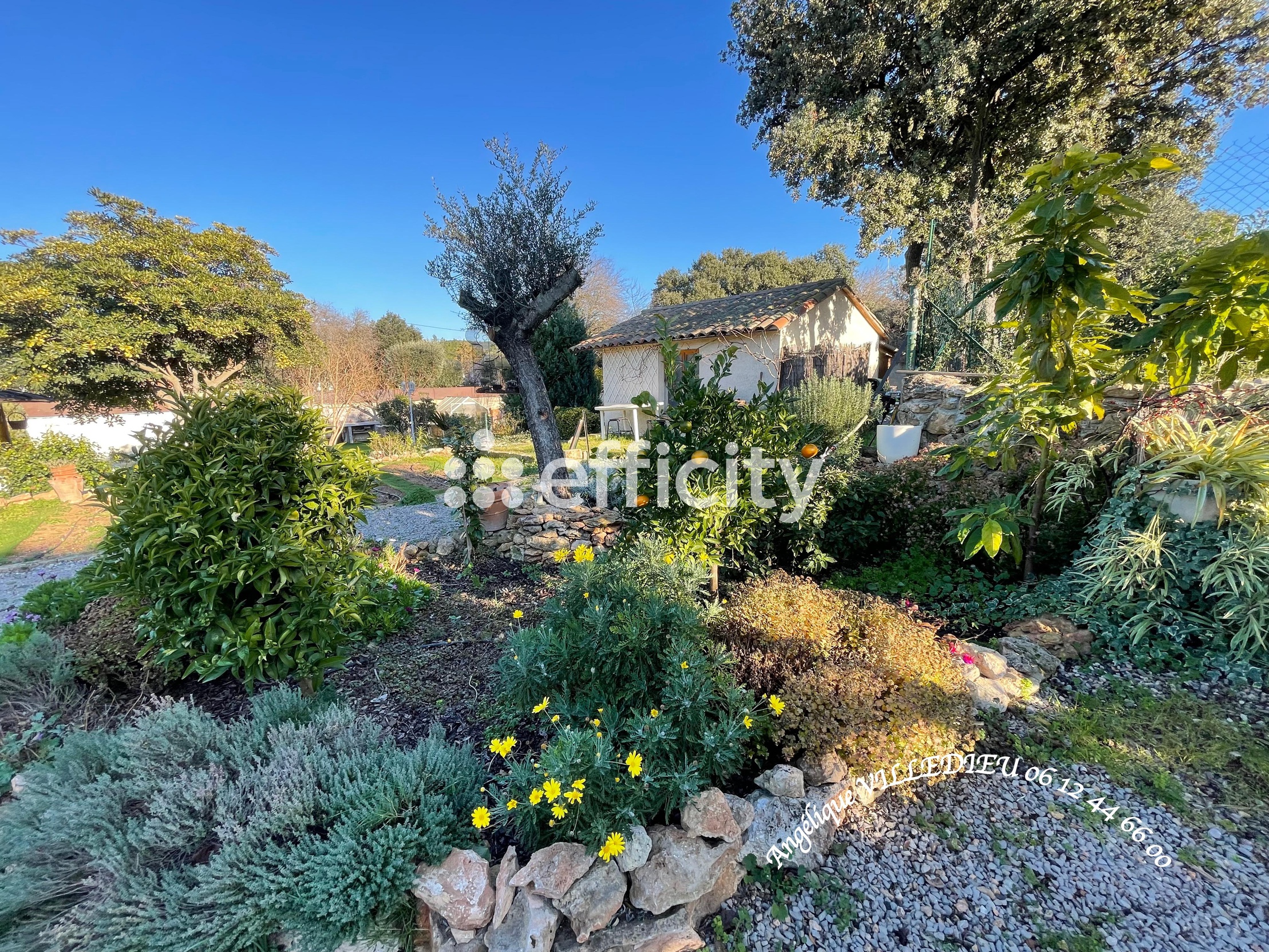 maison 3 pièces - 119,0m2 à Balaruc-le-Vieux (34540)