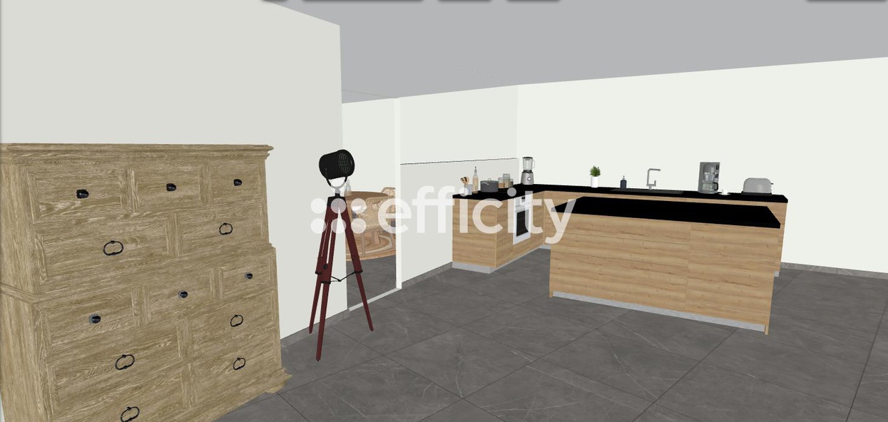 Achat immobilier Maison 7 pièces  192m2 à Sorigny (37250) - Photo n°24