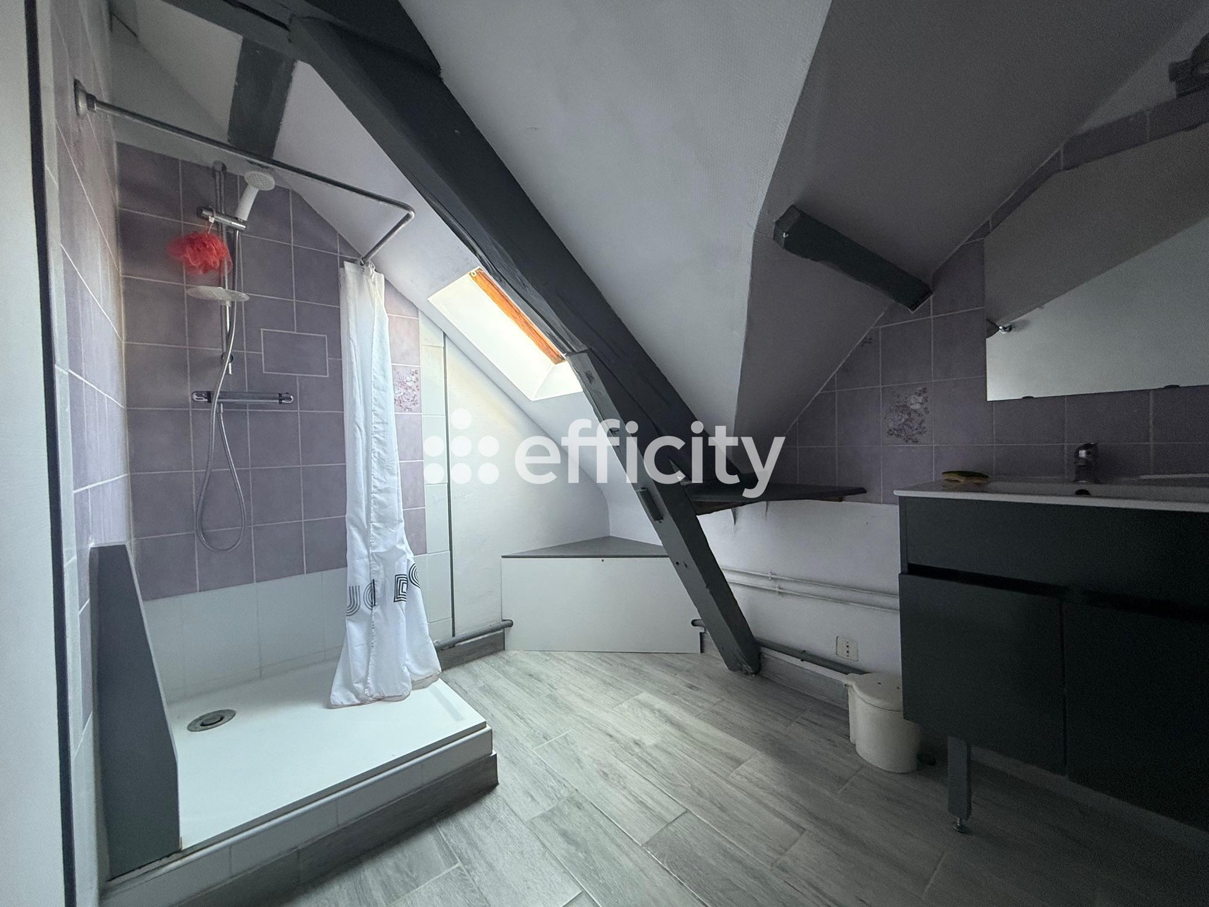 Achat immobilier Maison 7 pièces  192m2 à Sorigny (37250) - Photo n°16