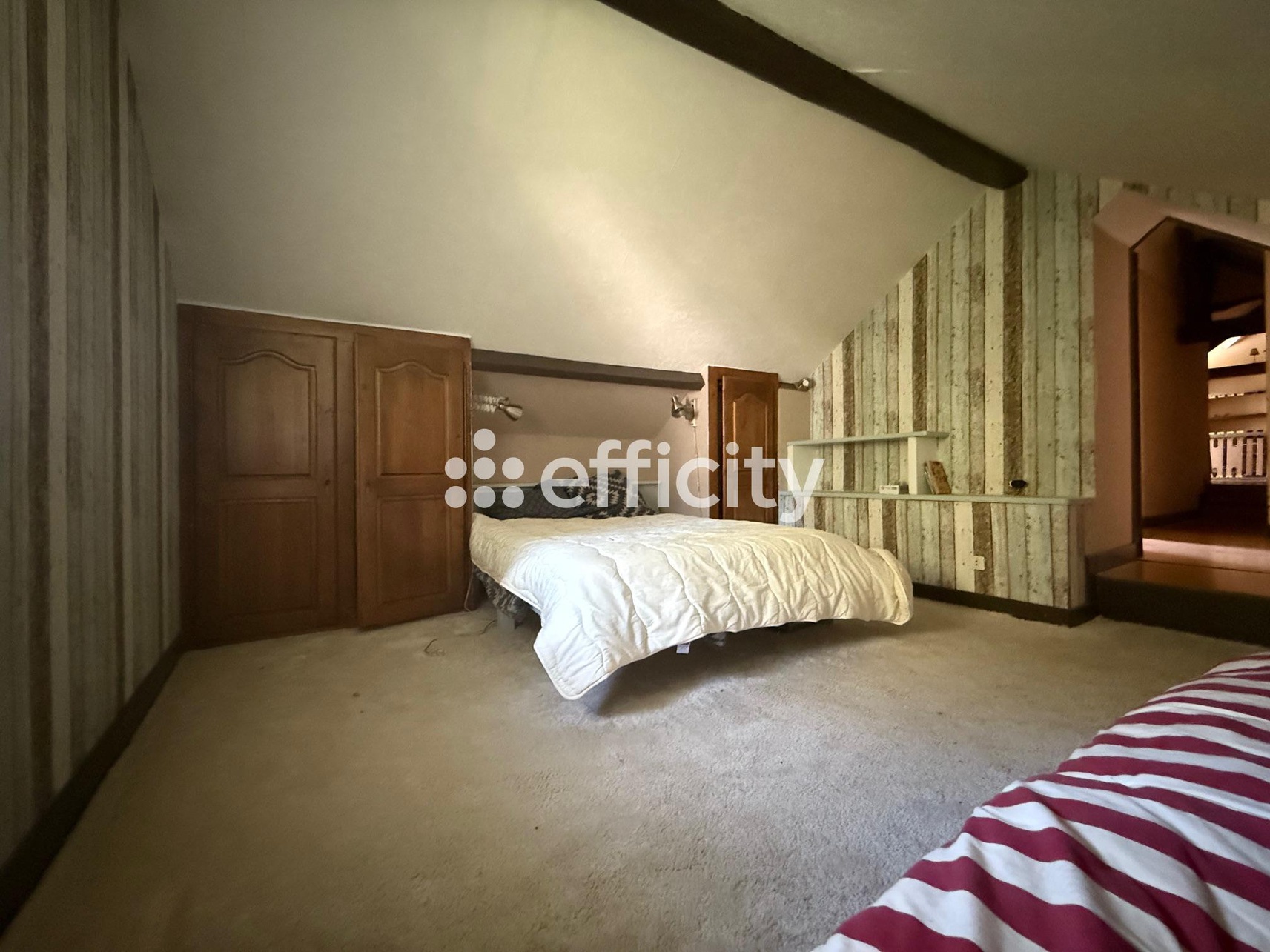 Achat immobilier Maison 7 pièces  192m2 à Sorigny (37250) - Photo n°15