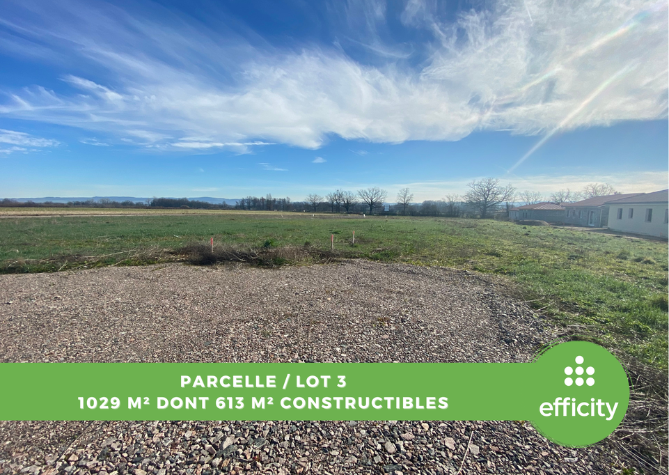 terrain  - 1029,0m2 à Chambéon (42110)