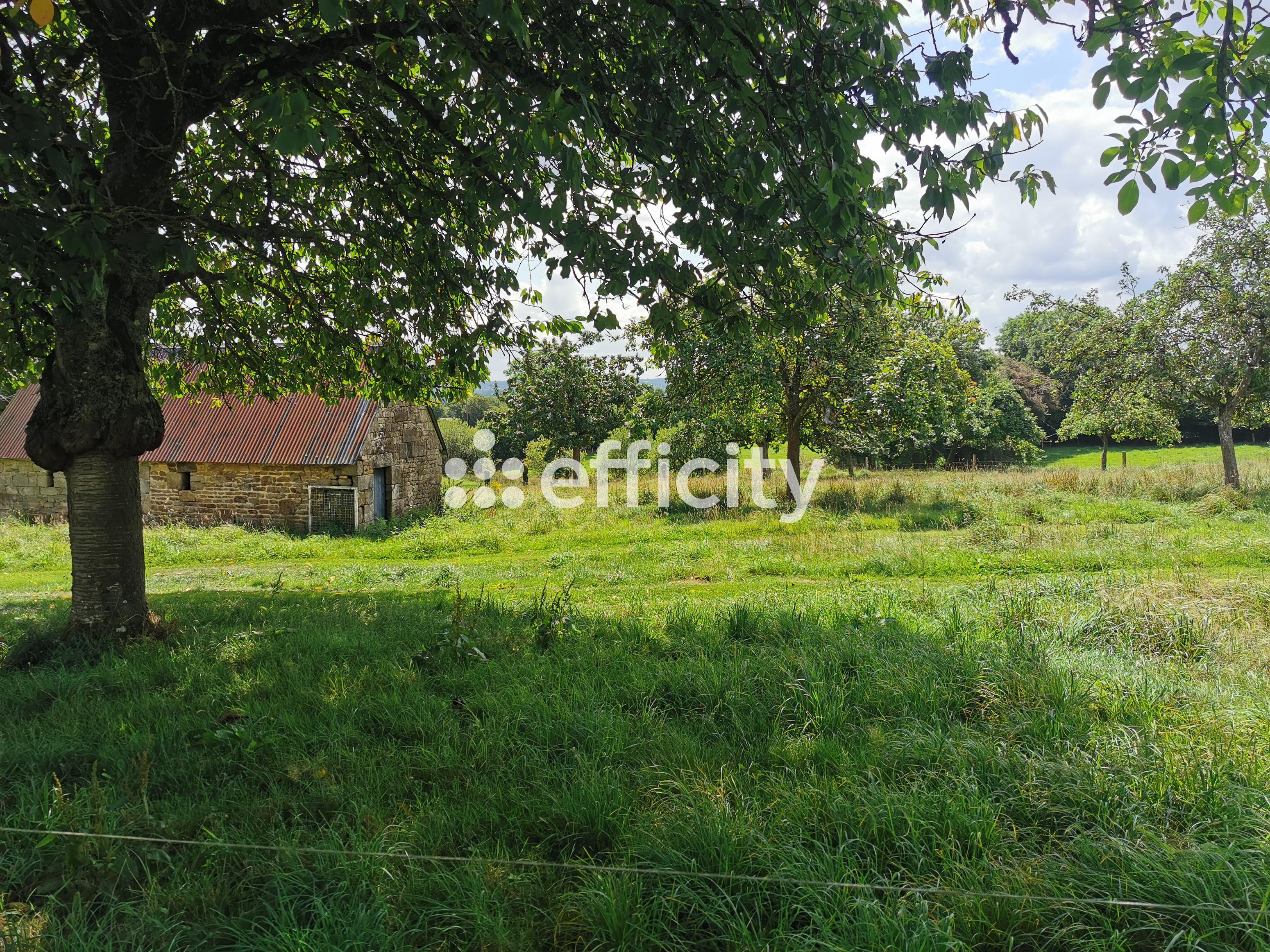 Achat immobilier Maison 5 pièces  131m2 à Noues de Sienne (14380) - Photo n°17