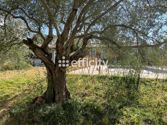 Achat immobilier Maison 3 pièces  79m2 à Sainte-Soulle (17220) - Photo n°13