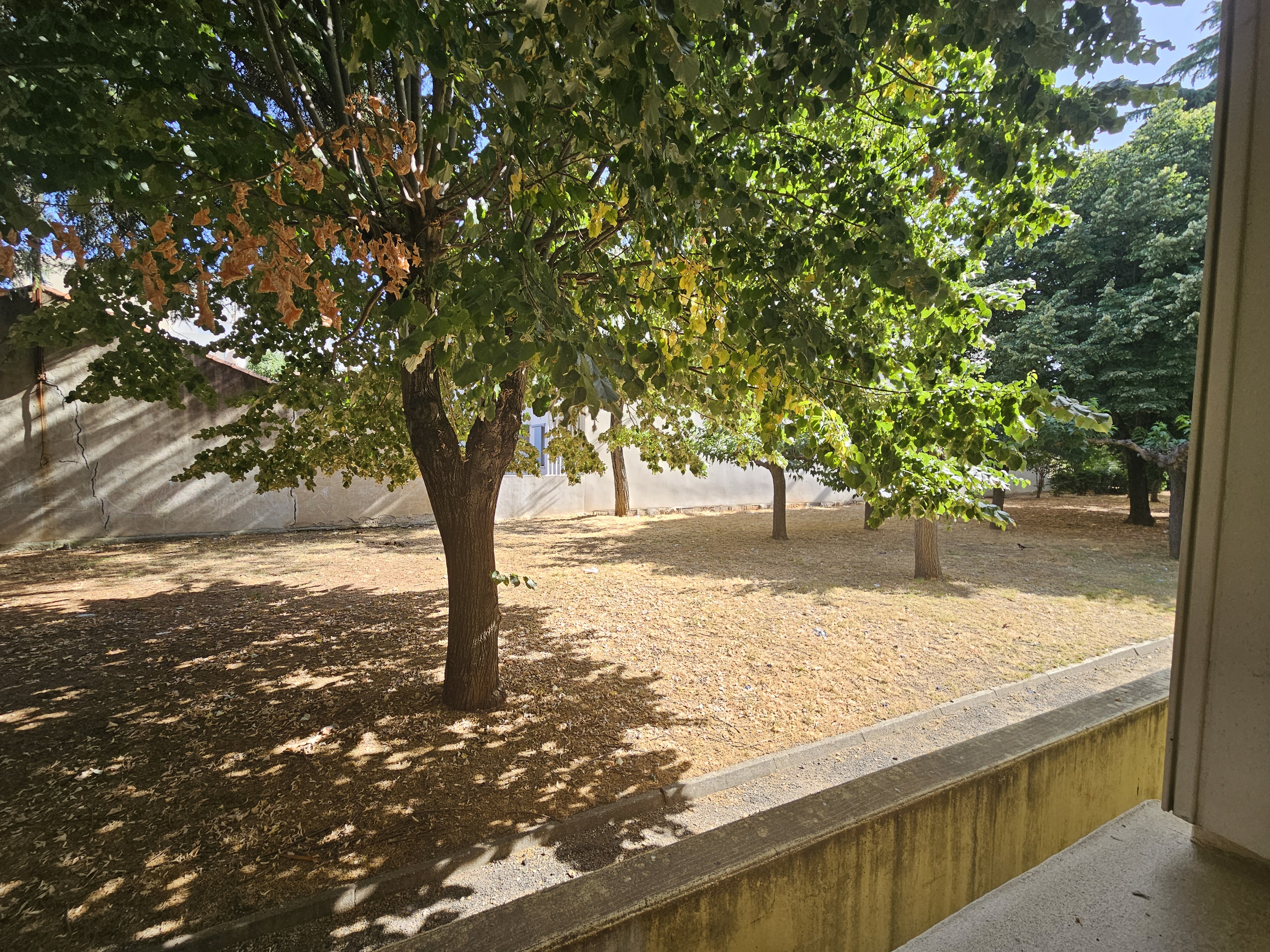 Achat immobilier Appartement 3 pièces  56m2 à Nîmes (30900) - Photo n°5