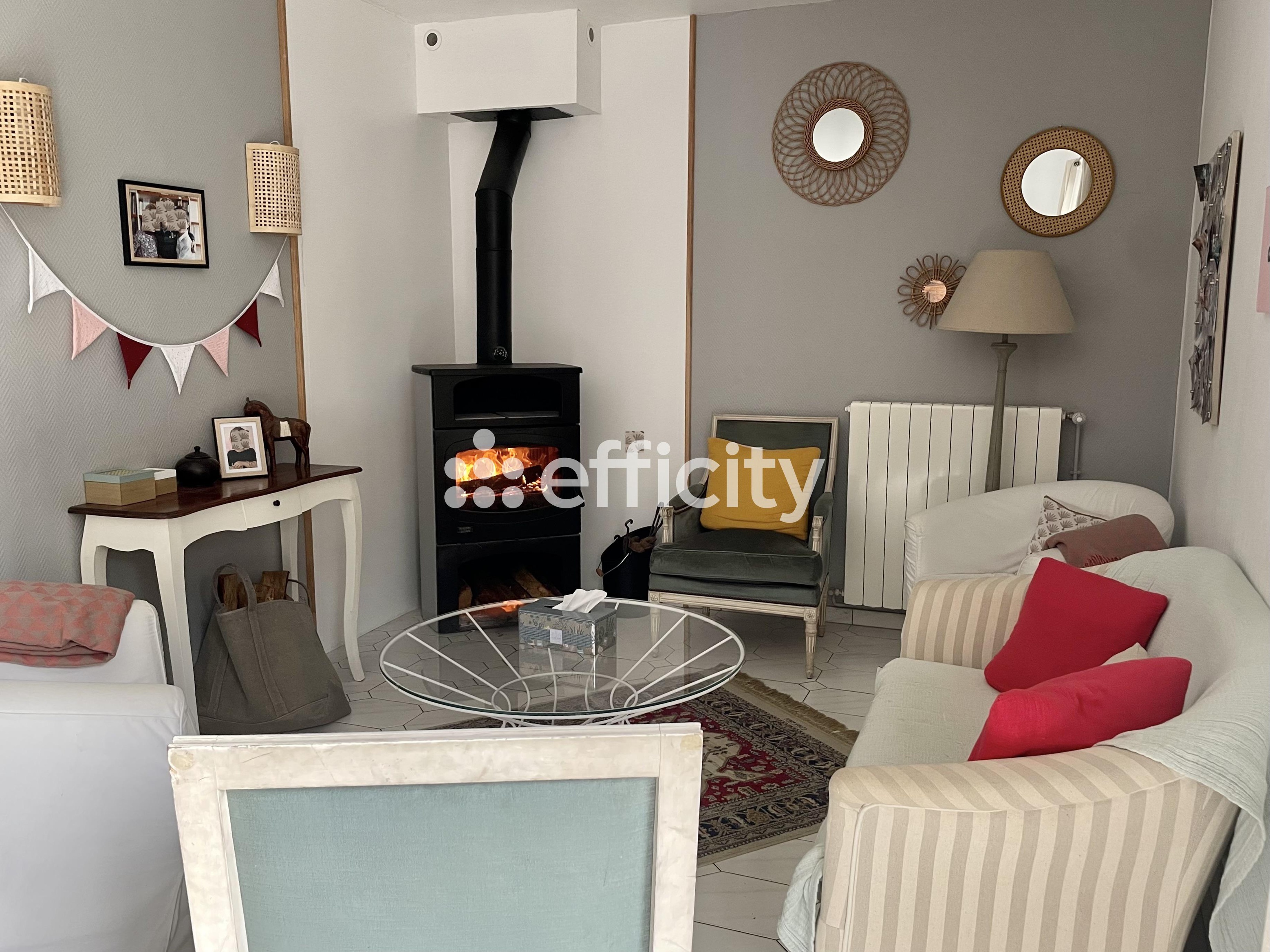 Achat immobilier Maison 9 pièces  210m2 à Marennes-Hiers-Brouage (17320) - Photo n°4