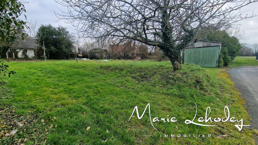 Achat immobilier Terrain   882m2 à Muneville-sur-Mer (50290) - Photo n°5