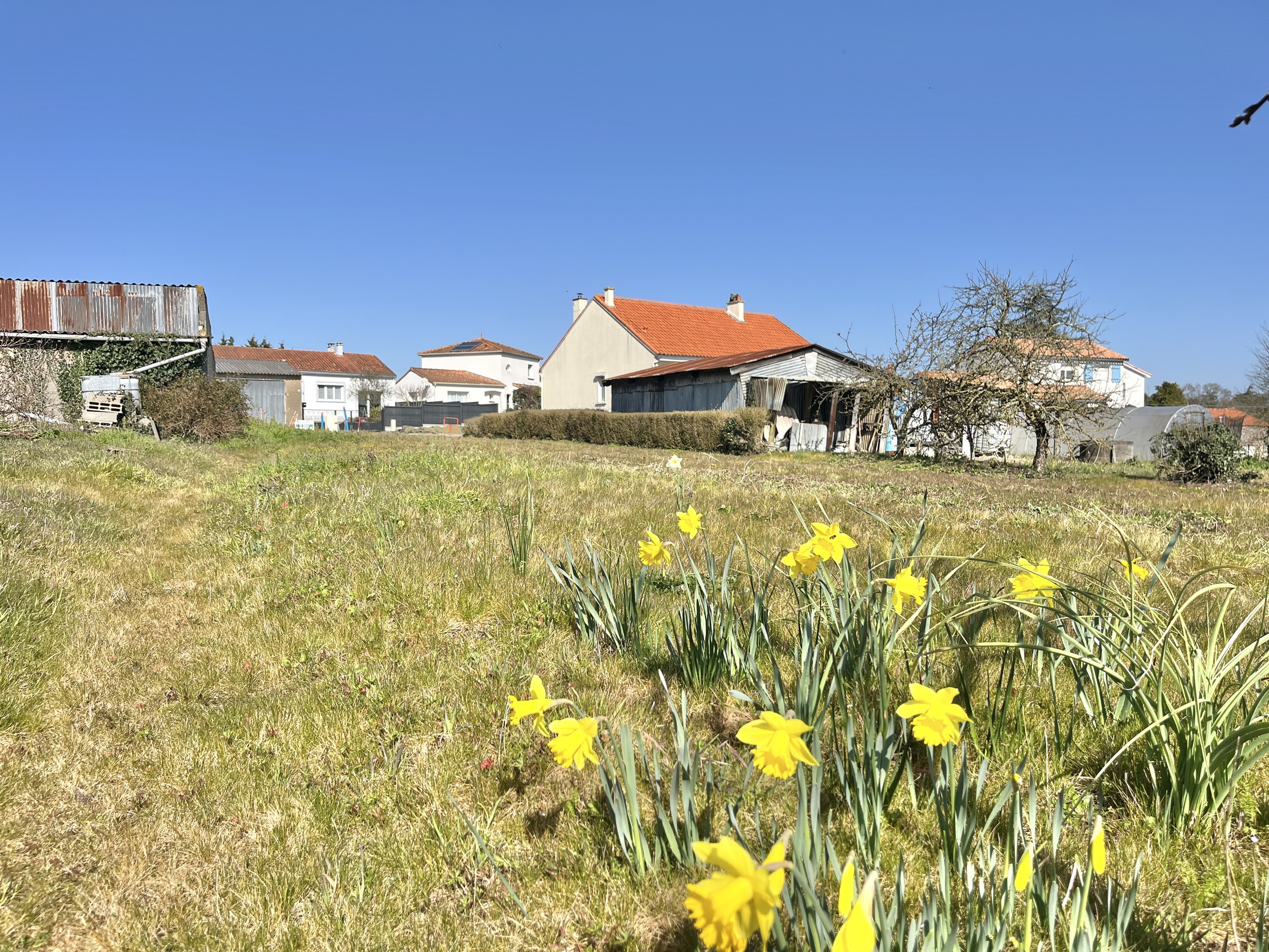 terrain  - 609m2 à Pont-Saint-Martin (44860)