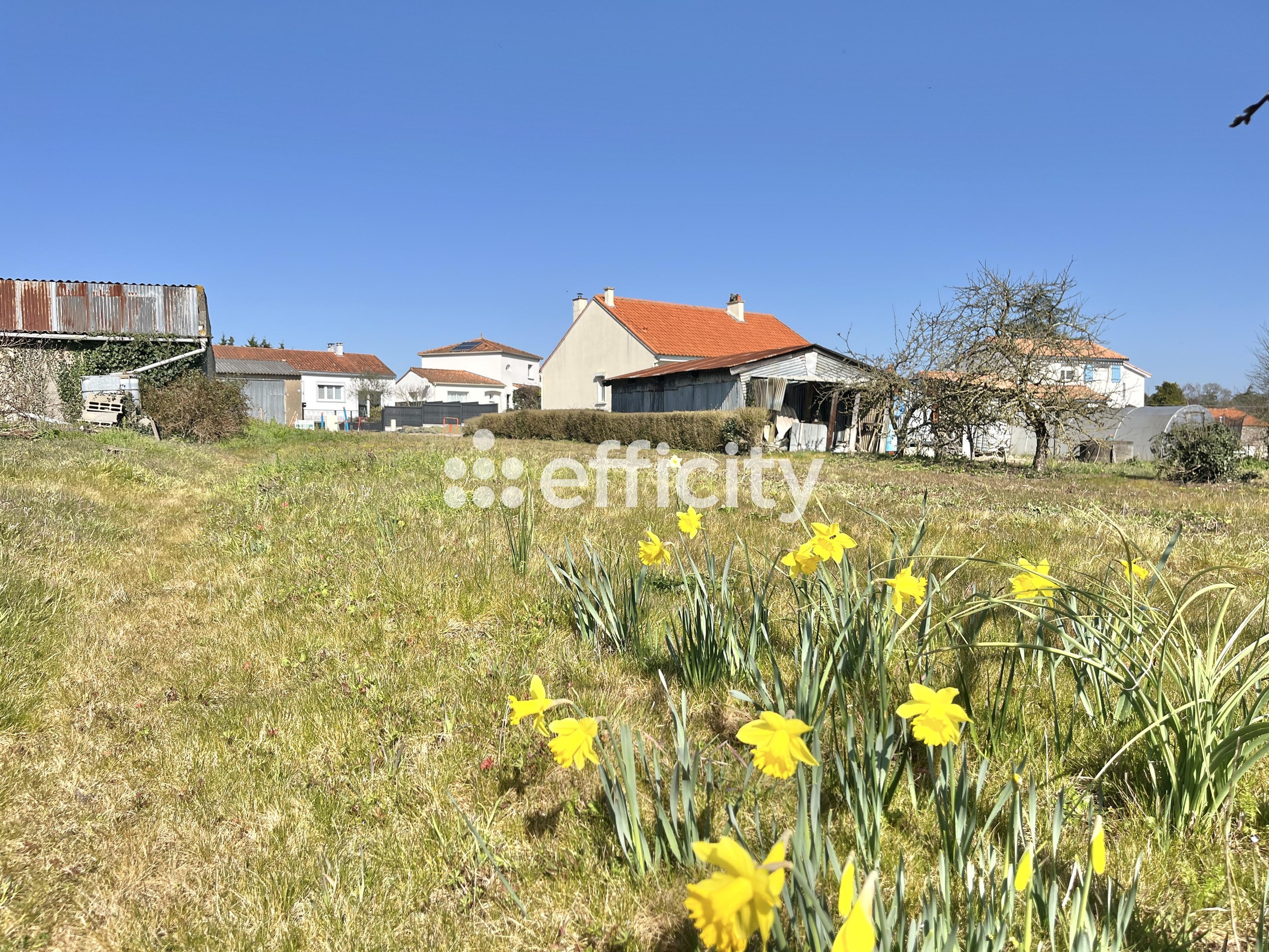 terrain  - 609m2 à Pont-Saint-Martin (44860)